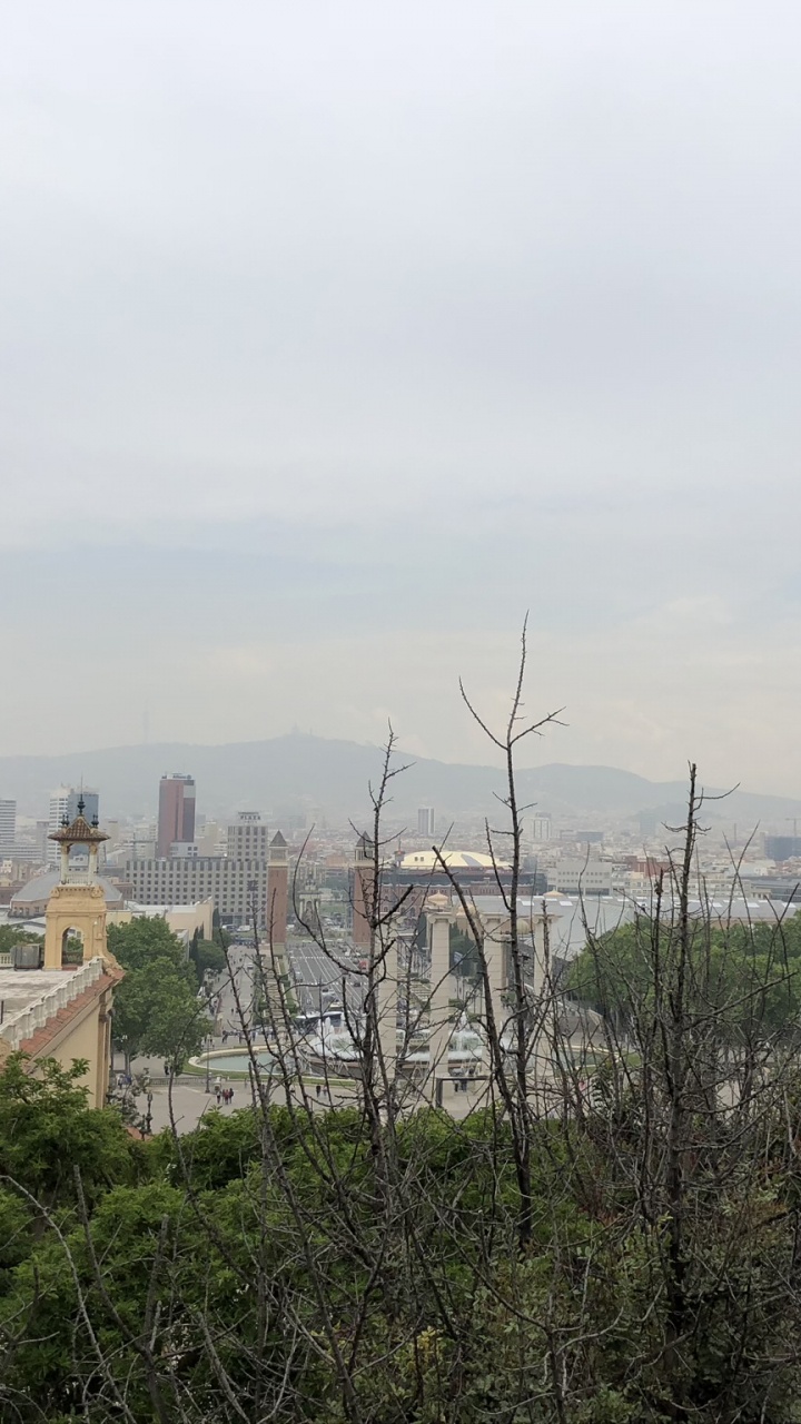 Hangzhou Jianqiao Airport, Jianqiaozhen, 城市, 人类住区, 天际线 壁纸 720x1280 允许