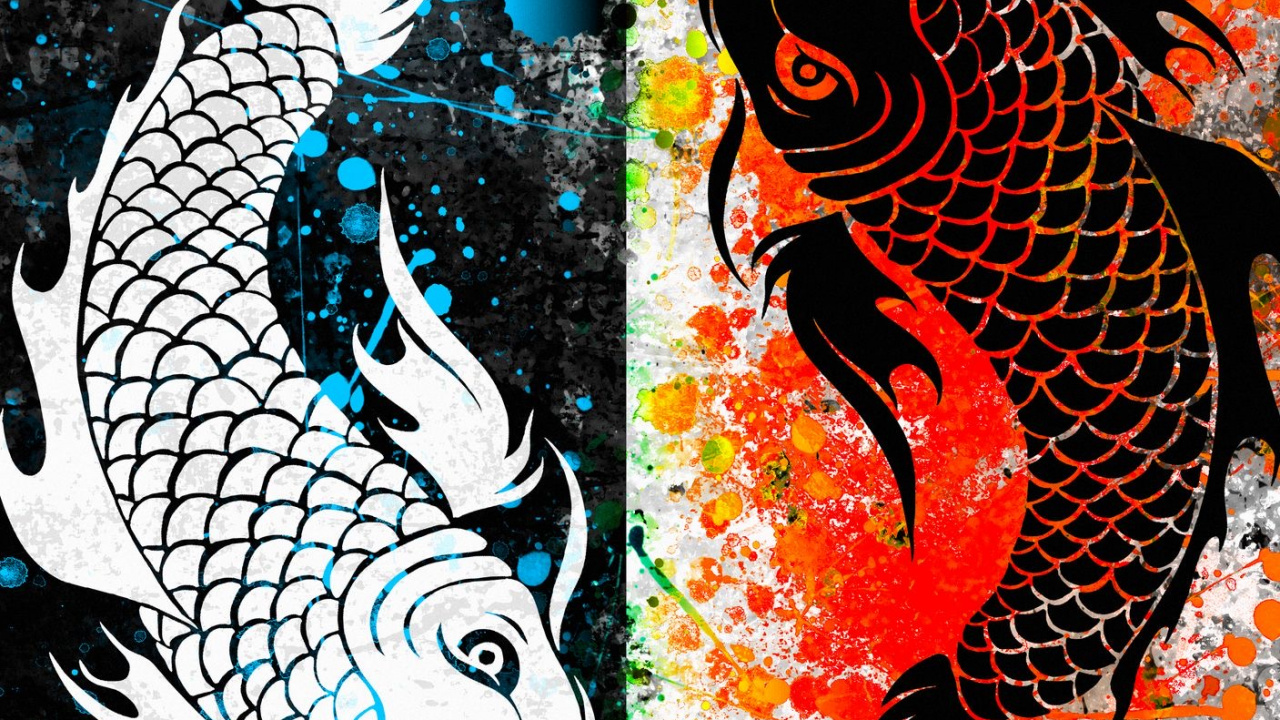 Poisson Koï, Koi, Goldfish, Poisson, Téléphone ROG. Wallpaper in 1280x720 Resolution