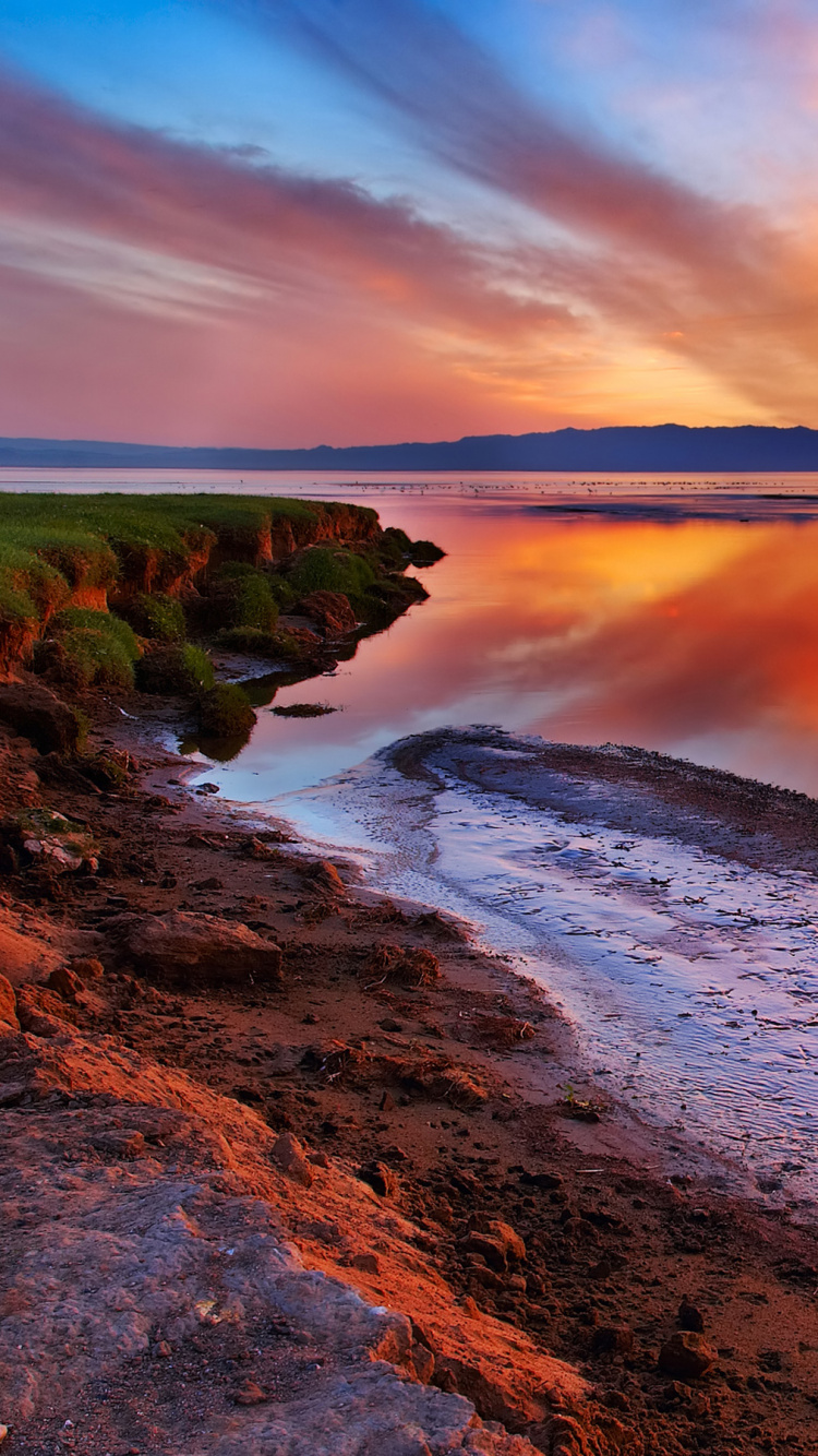 Cuerpo de Agua Cerca de Los Árboles Durante la Puesta de Sol. Wallpaper in 750x1334 Resolution