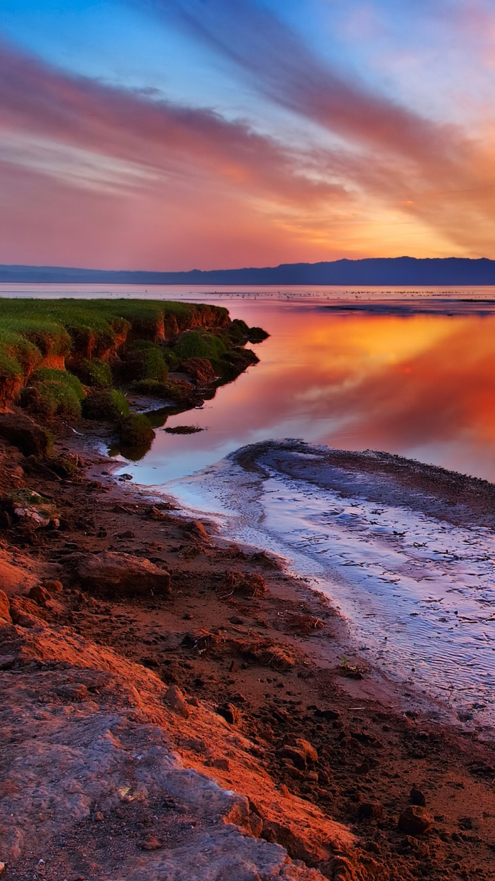 Body of Water Near Trees During Sunset. Wallpaper in 720x1280 Resolution