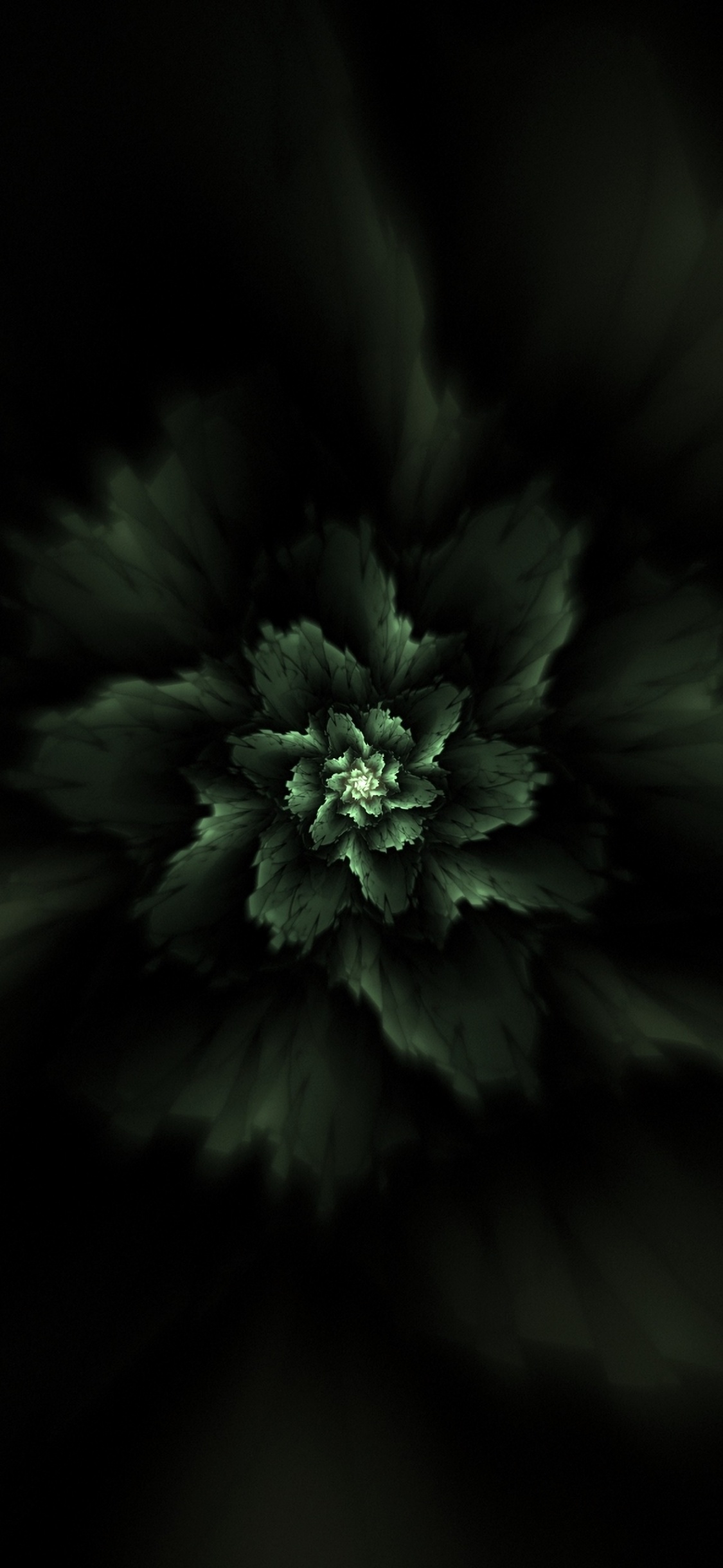 Grayscale Photo of Flower in Dark Room. Wallpaper in 1125x2436 Resolution