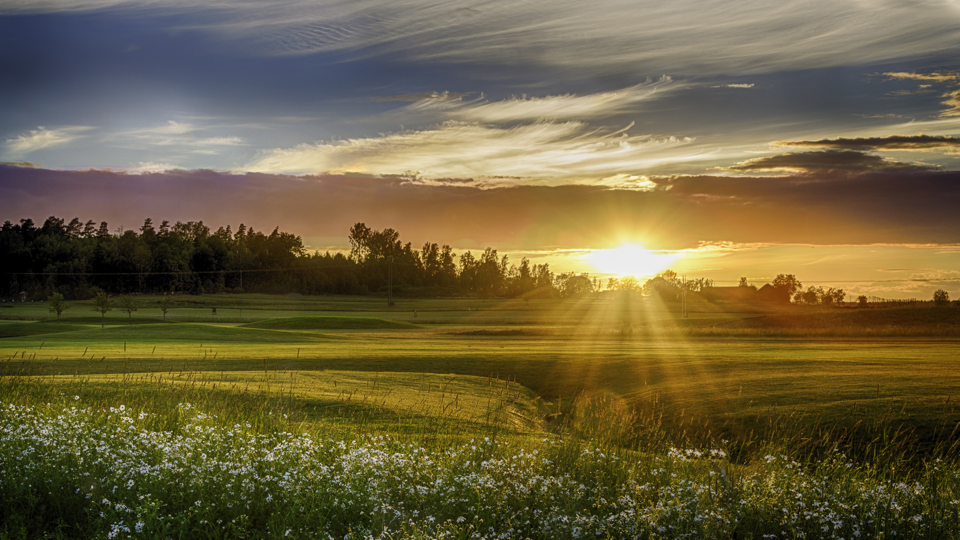 Grüne Wiese Bei Sonnenuntergang. Wallpaper in 1920x1080 Resolution