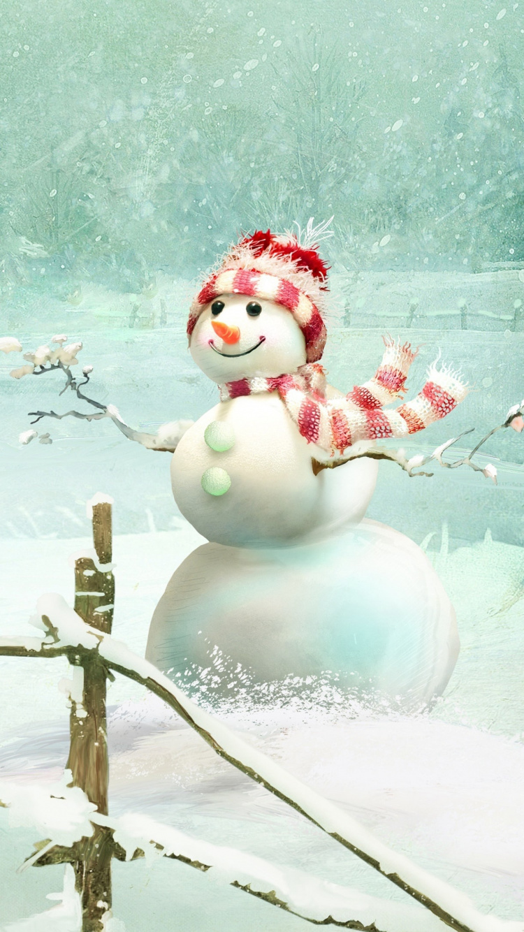 White Snow on Brown Wooden Fence. Wallpaper in 750x1334 Resolution