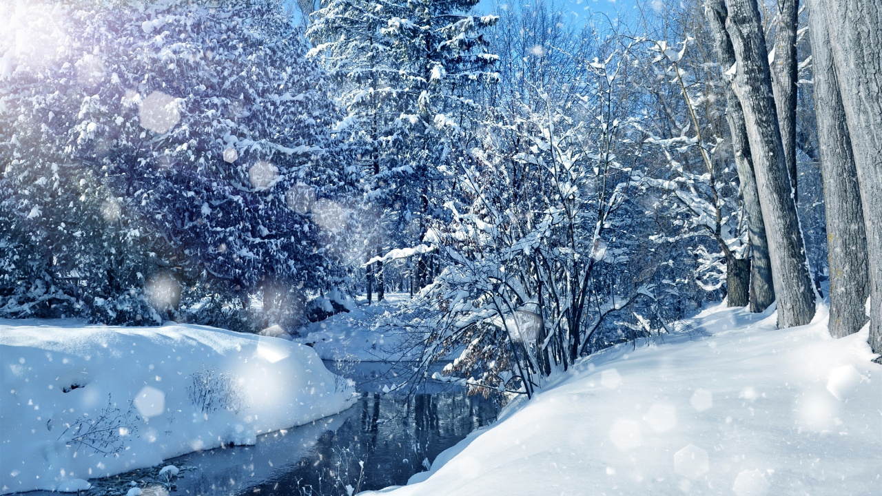 Snow Covered Trees During Daytime. Wallpaper in 1280x720 Resolution