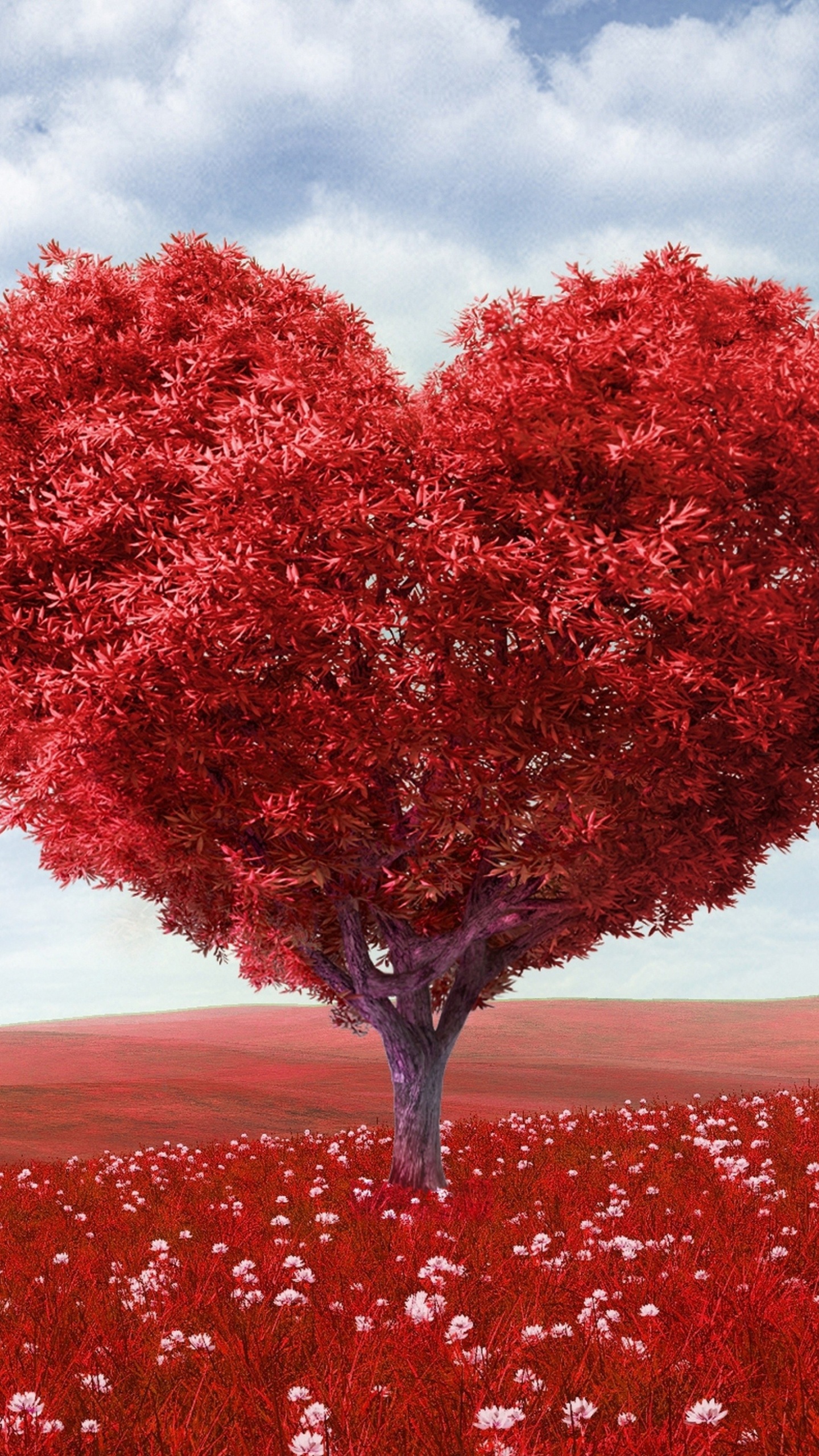 Roter Blattbaum Unter Bewölktem Himmel Tagsüber Sky. Wallpaper in 1440x2560 Resolution