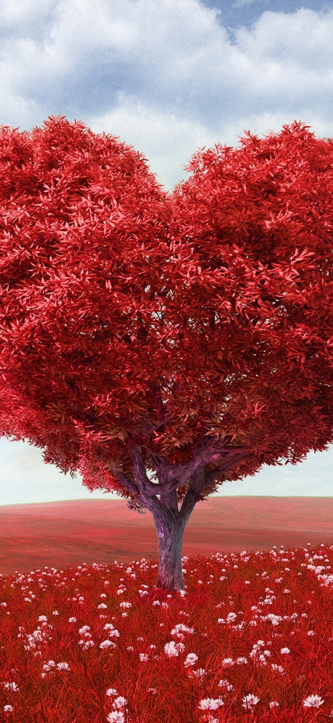 Red Leaf Tree Under Cloudy Sky During Daytime. Wallpaper in 1125x2436 Resolution