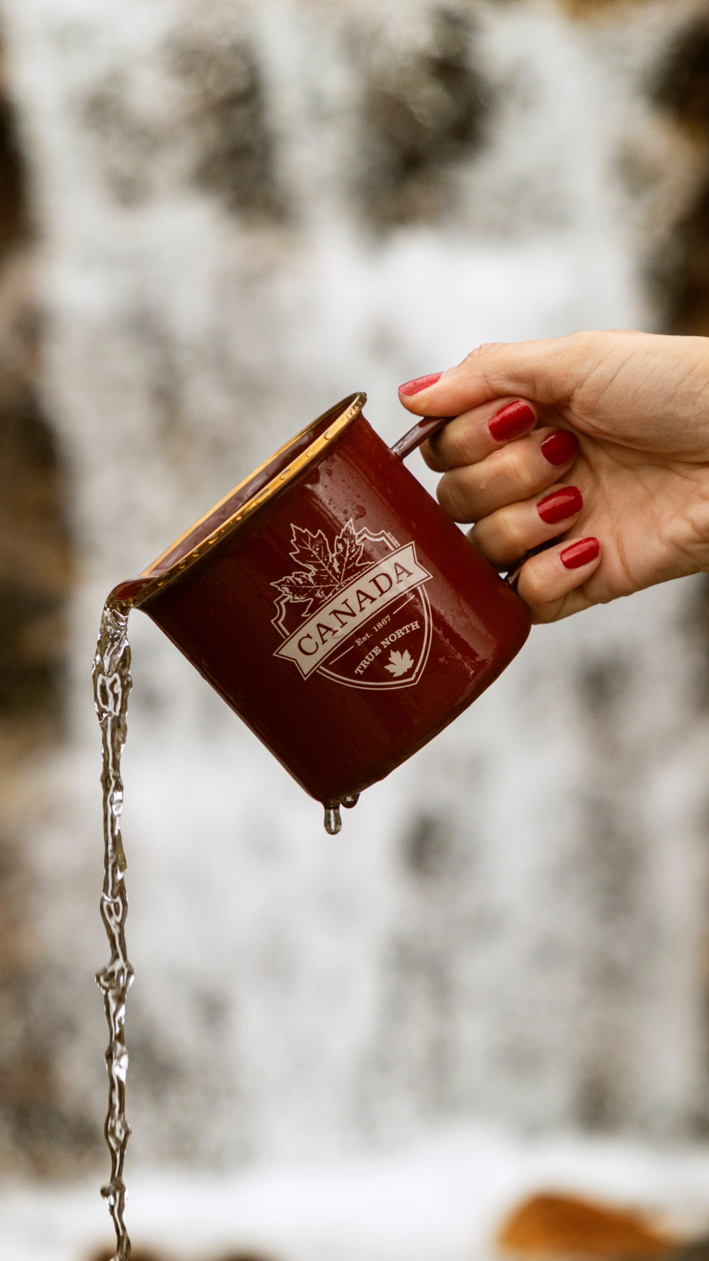 Person Holding Red and White Book. Wallpaper in 1440x2560 Resolution