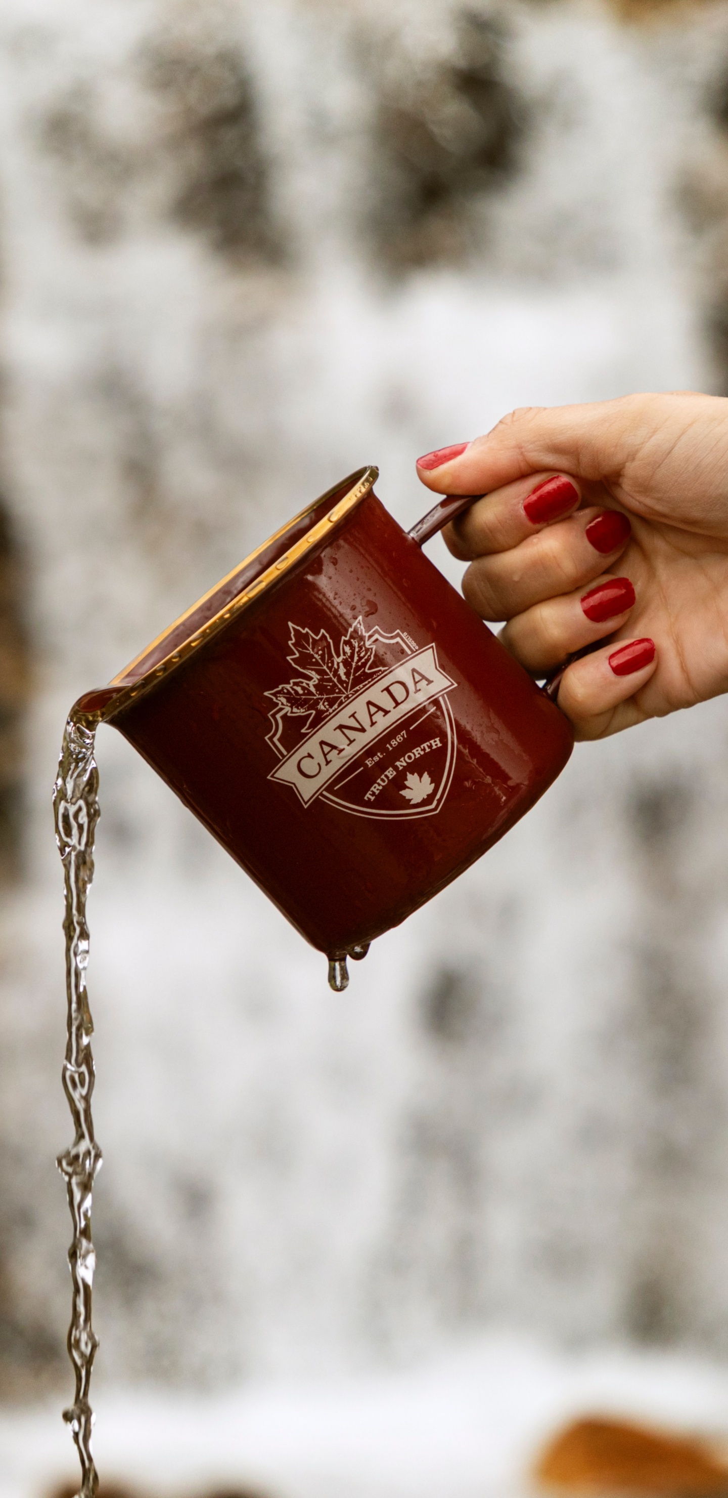 Person Holding Red and White Book. Wallpaper in 1440x2960 Resolution