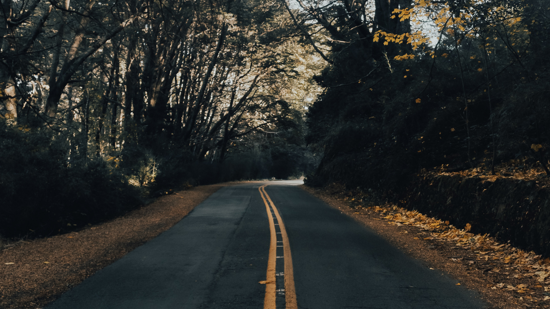 Natural Landscape, Infrastructure, Morning, Asphalt Concrete, Asphalt. Wallpaper in 1920x1080 Resolution