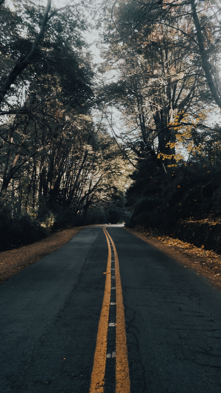 Naturlandschaft, Infrastruktur, Morgen, Asphalt-Beton, Asphalt. Wallpaper in 720x1280 Resolution