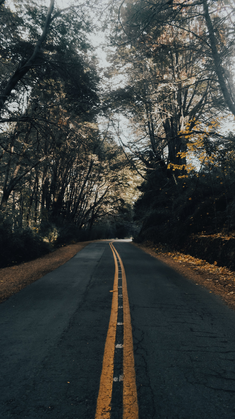 Naturlandschaft, Infrastruktur, Morgen, Asphalt-Beton, Asphalt. Wallpaper in 750x1334 Resolution