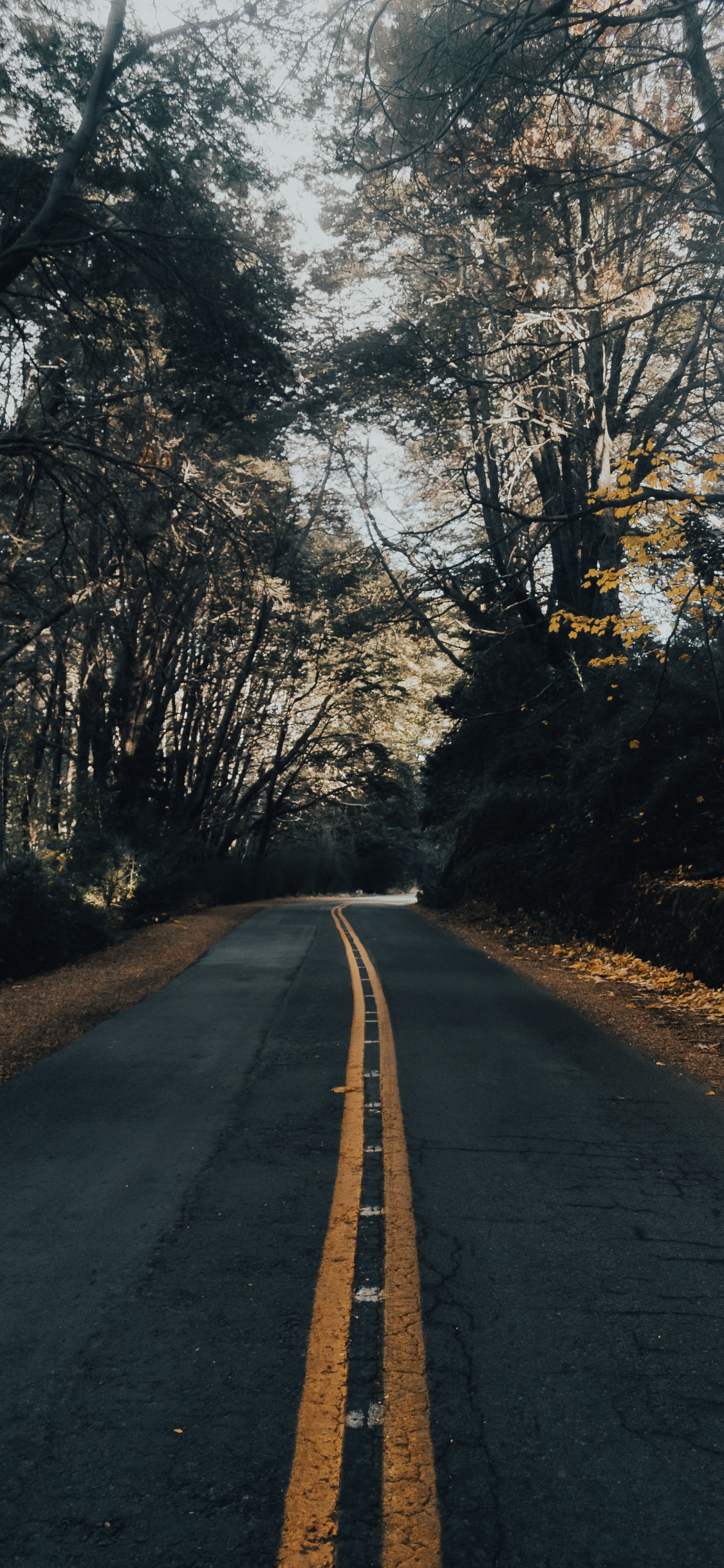 Paysage Naturel, Infrastructure, Matin, Asphalte Béton, Asphalt. Wallpaper in 1125x2436 Resolution