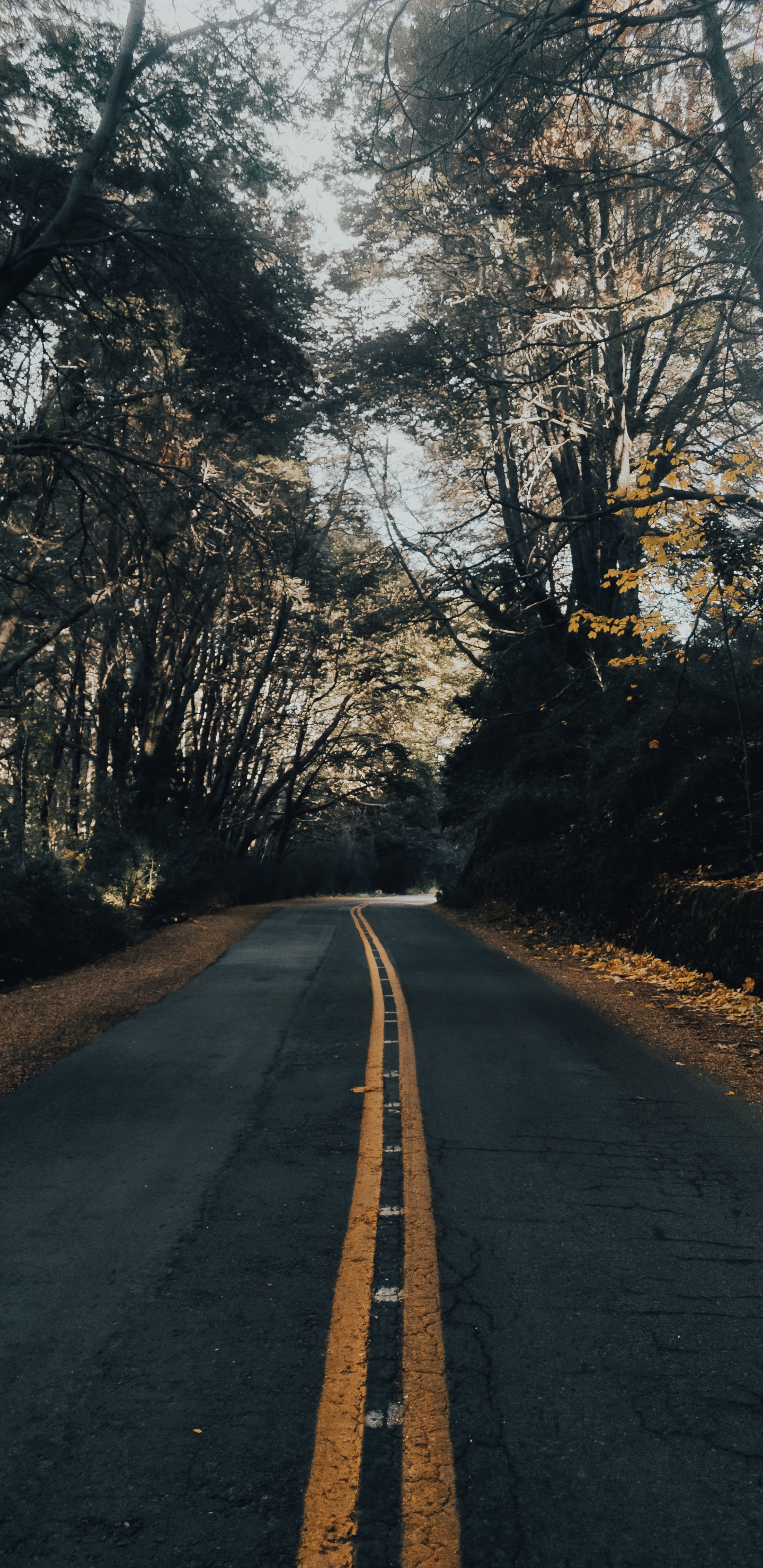 Paysage Naturel, Infrastructure, Matin, Asphalte Béton, Asphalt. Wallpaper in 1440x2960 Resolution