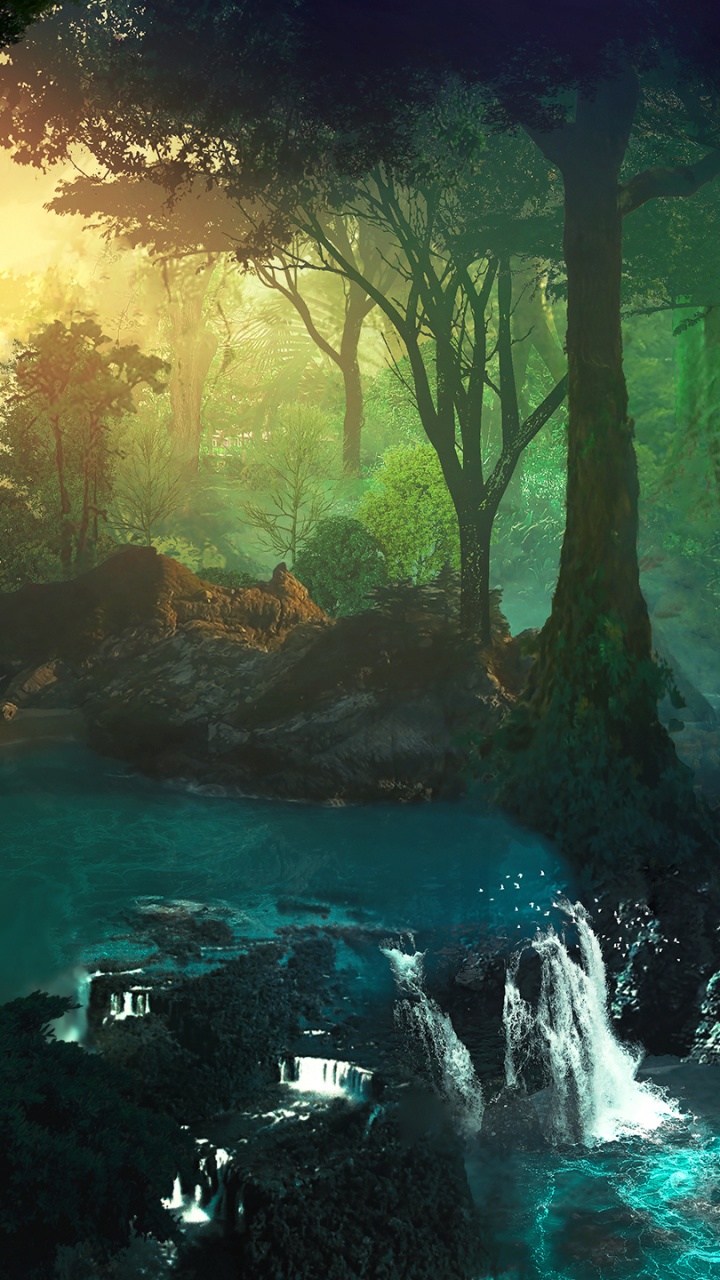 Forest, Nature, Green, Natural Landscape, Underground Lake. Wallpaper in 720x1280 Resolution