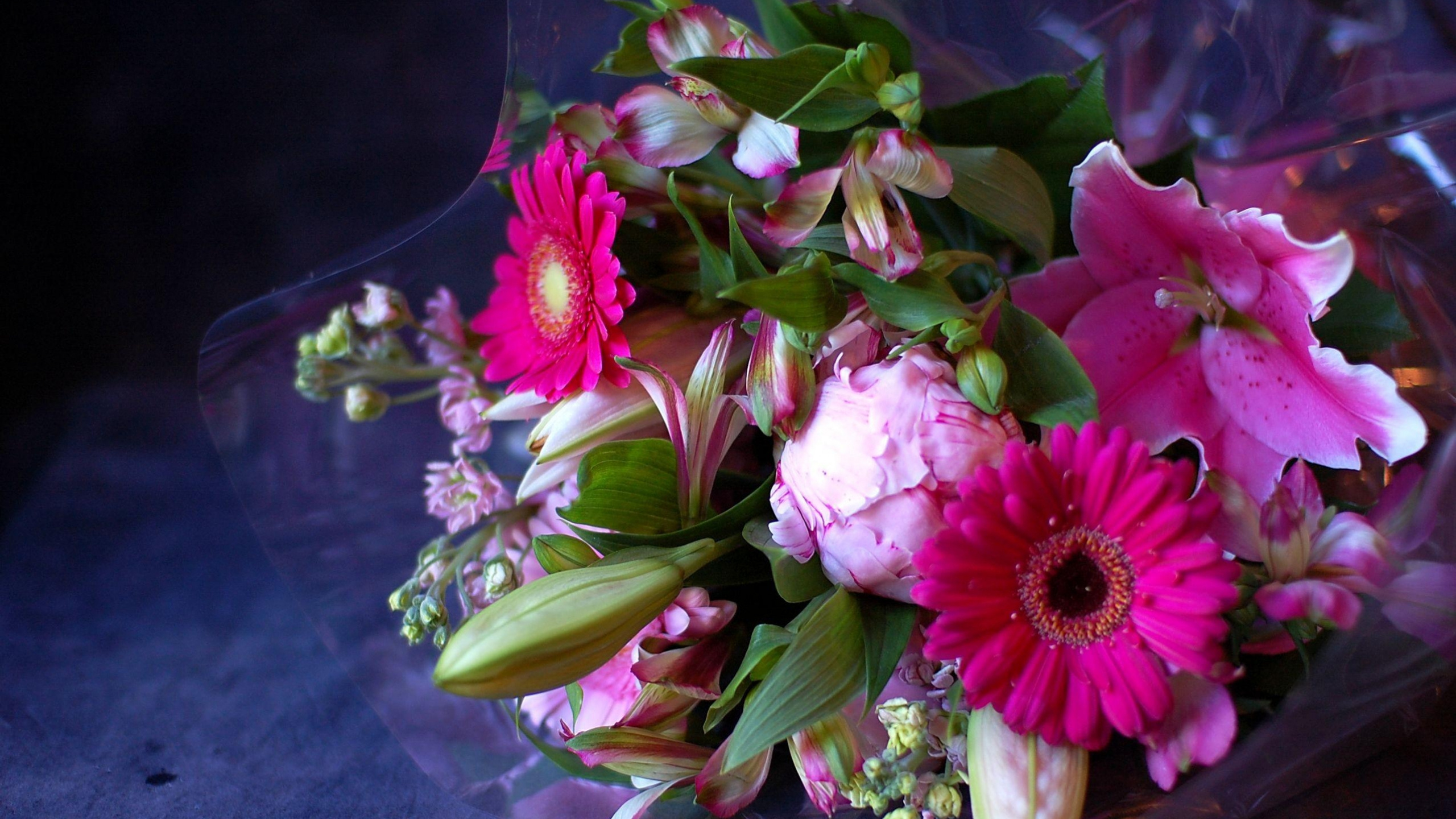 Pink and White Flowers on Clear Glass Vase. Wallpaper in 2560x1440 Resolution