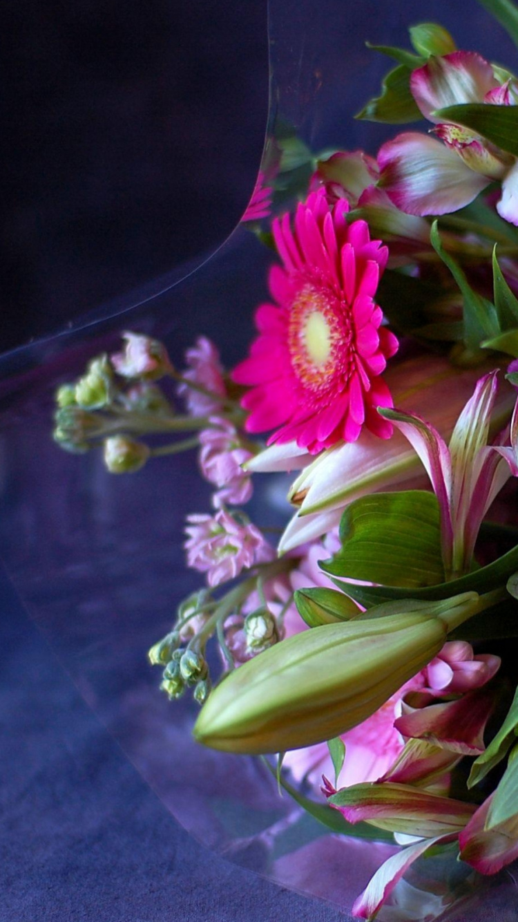Pink and White Flowers on Clear Glass Vase. Wallpaper in 750x1334 Resolution