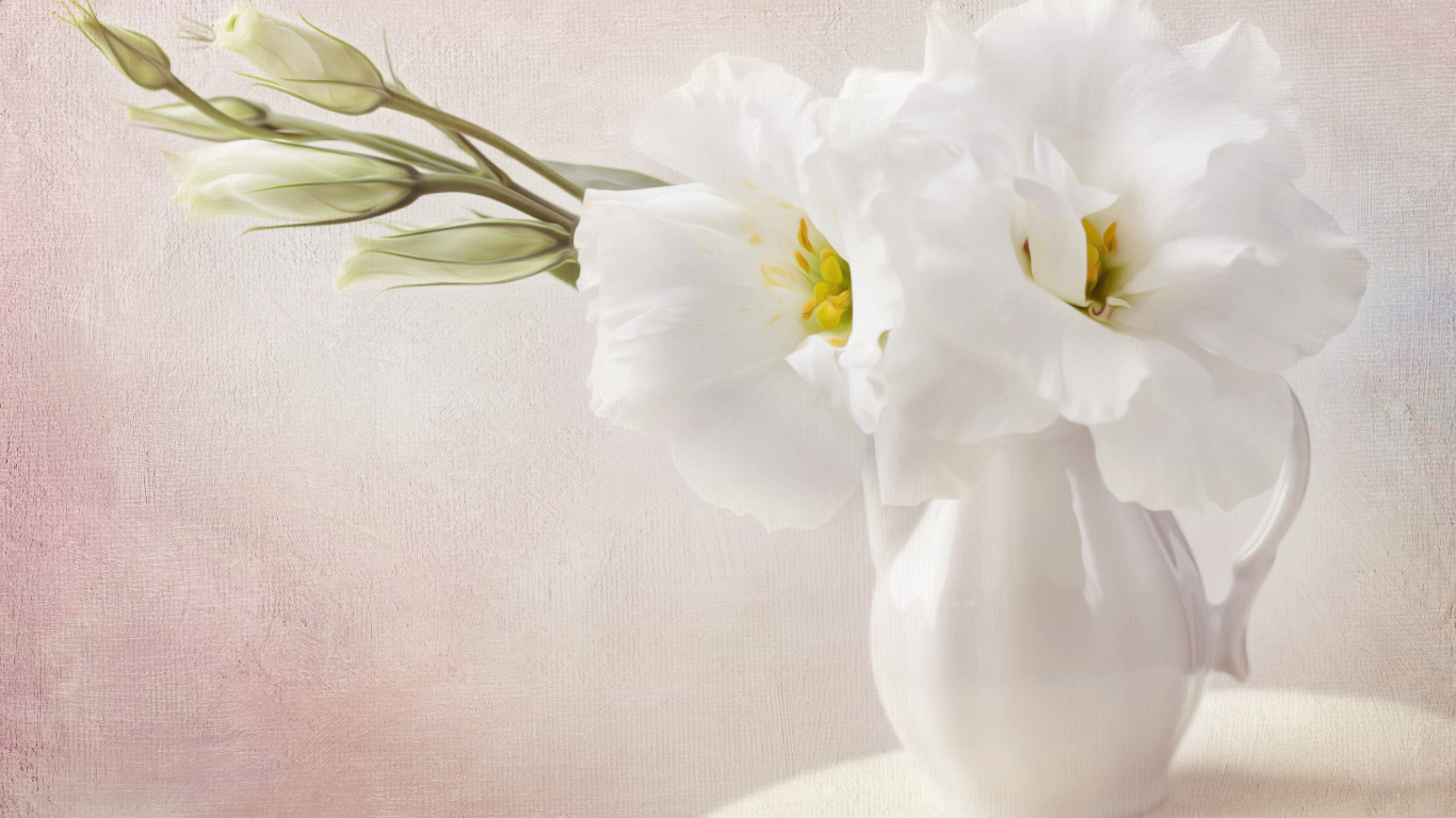 White Flower in Clear Glass Vase. Wallpaper in 1366x768 Resolution
