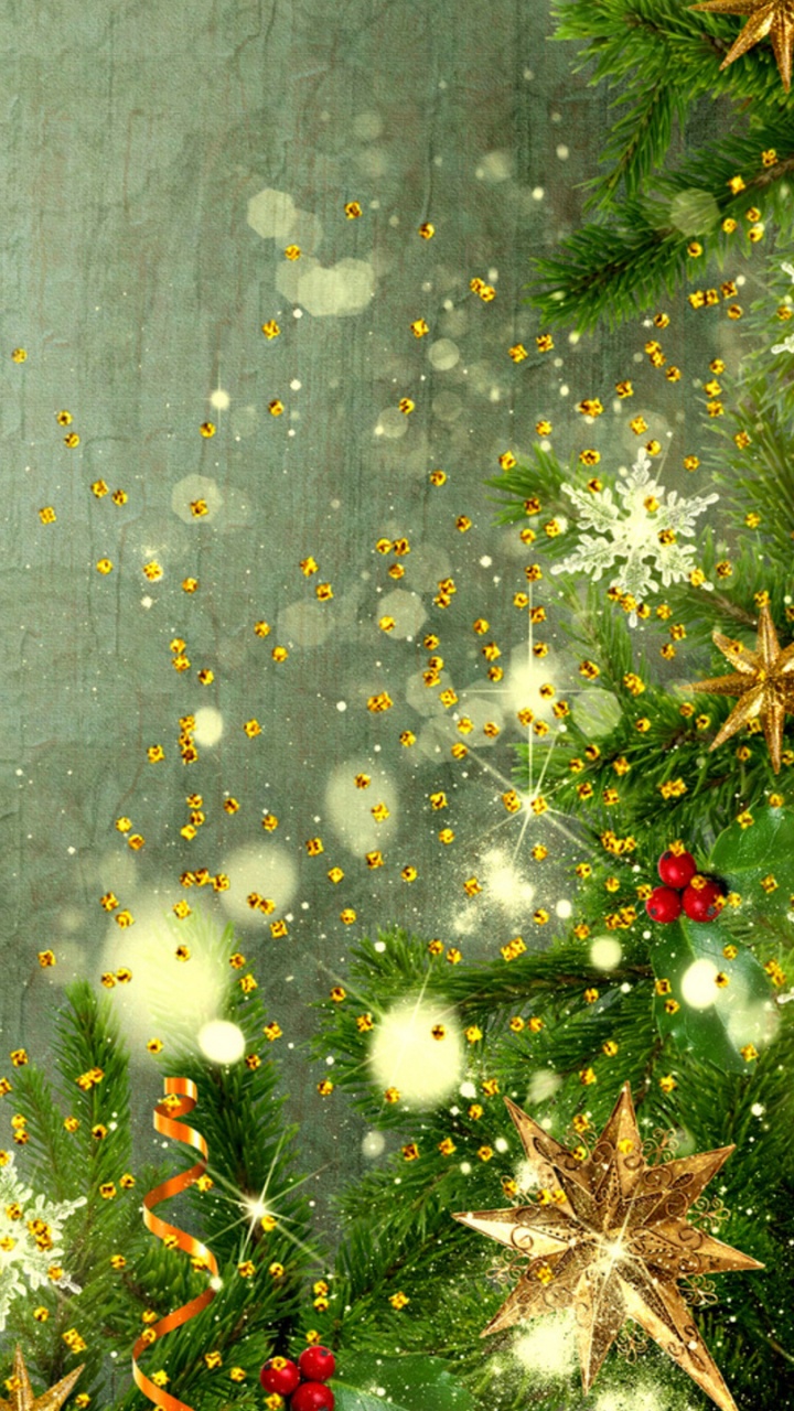 El Día De Navidad, Naturaleza, Agua, Evergreen, Flora. Wallpaper in 720x1280 Resolution