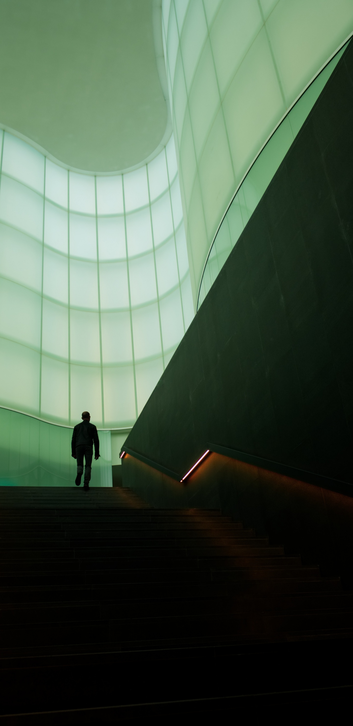 Homme en Veste Noire Marchant Sur un Escalier Marron. Wallpaper in 1440x2960 Resolution