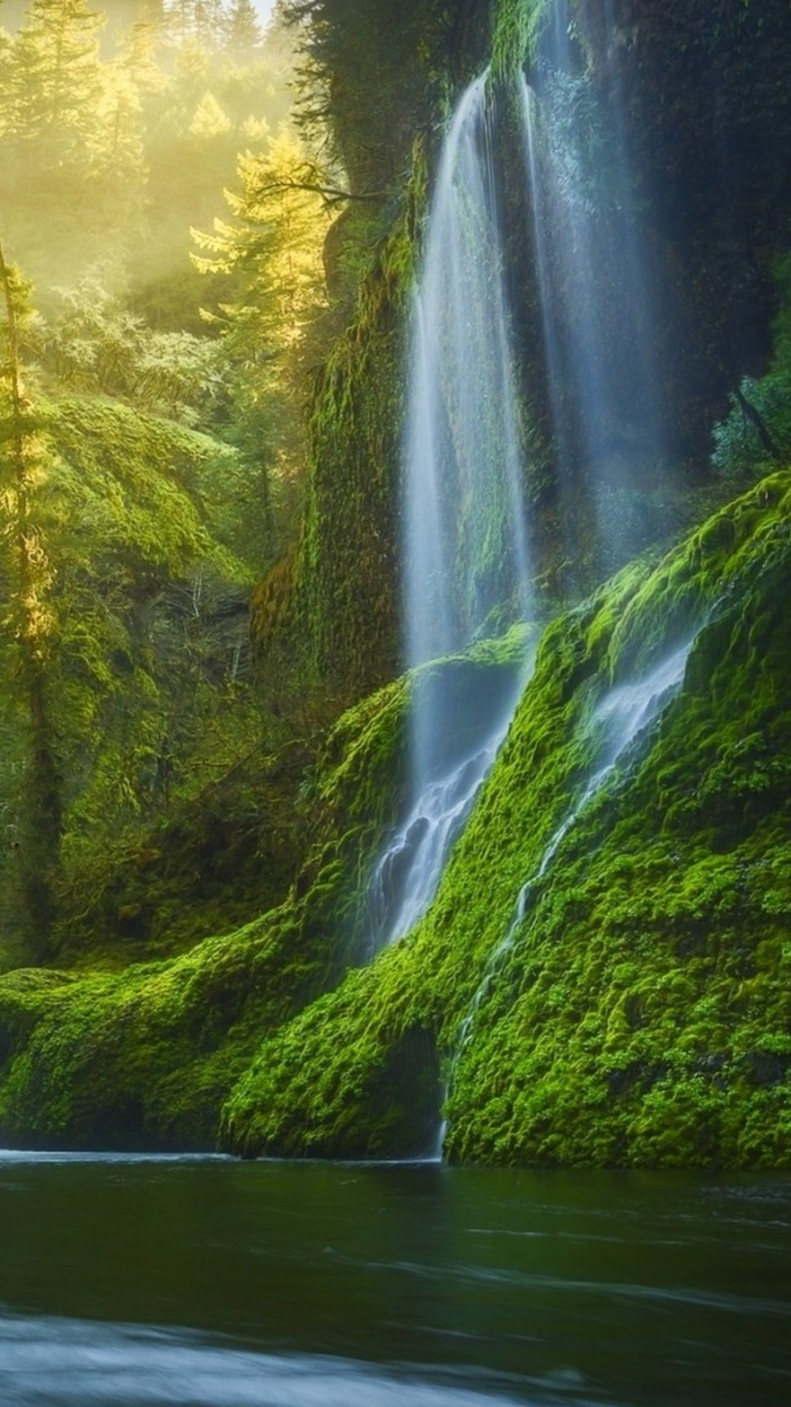 Cascadas en el Bosque Durante el Día.. Wallpaper in 720x1280 Resolution