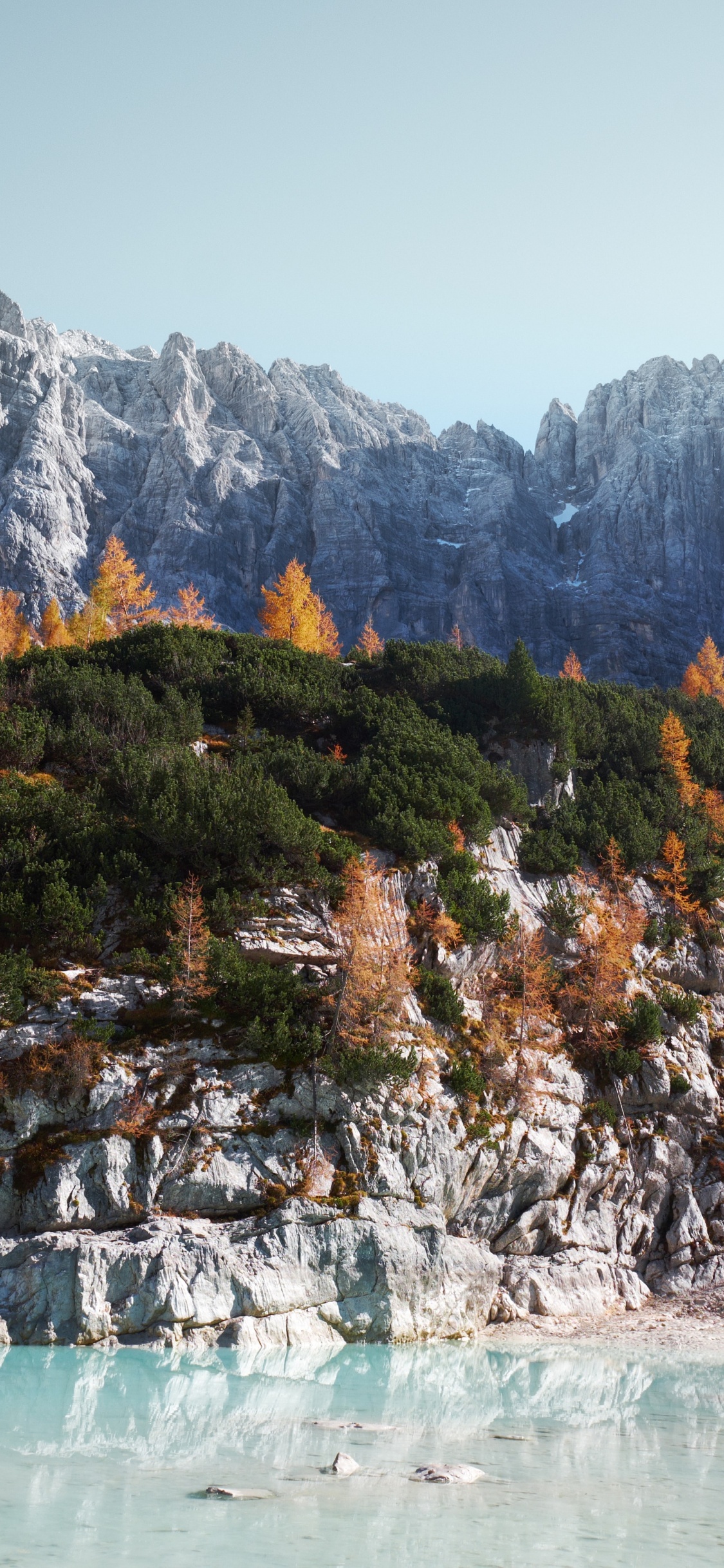 hp Chromebase, Chromebase, All-in-one, Intel, Water. Wallpaper in 1125x2436 Resolution