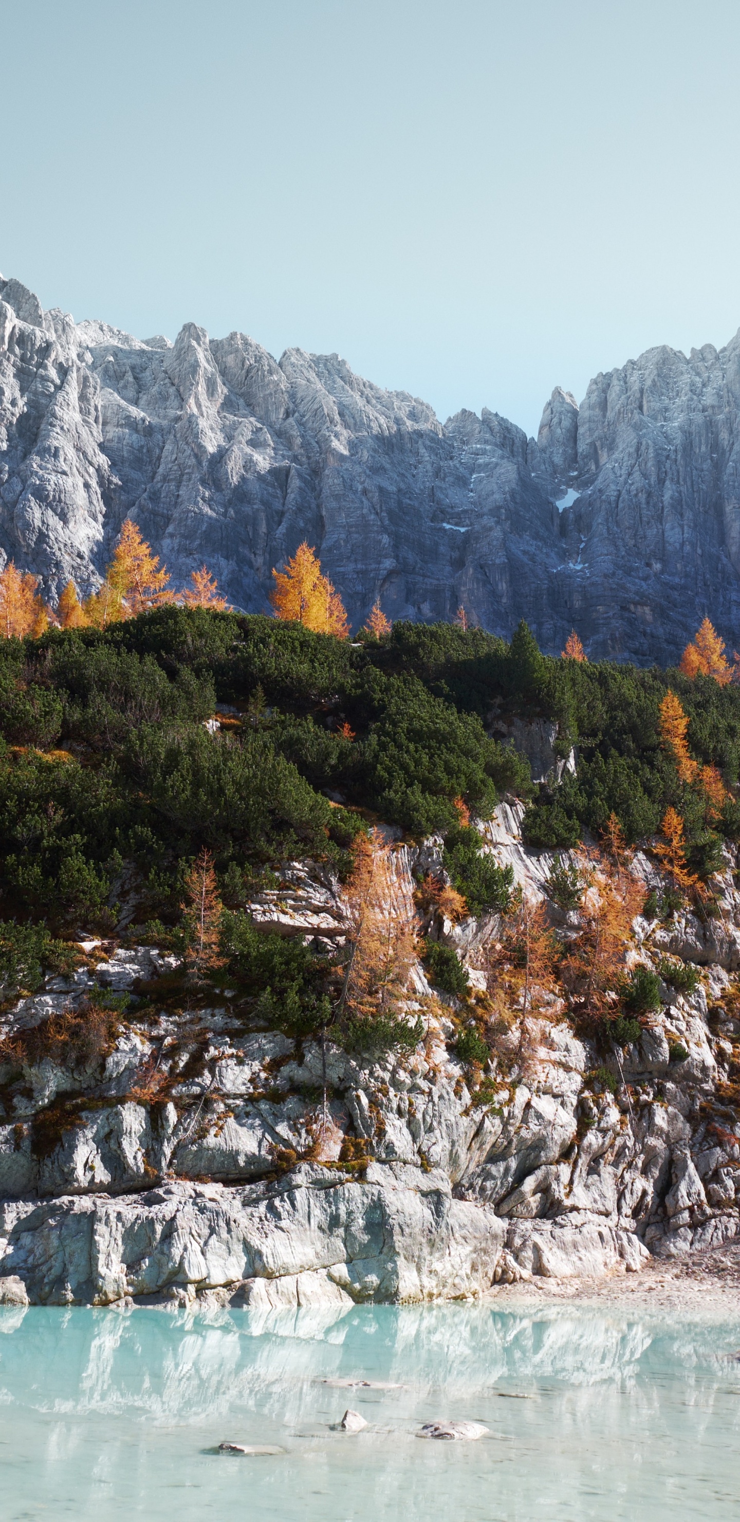 hp Chromebase, Chromebase, All-in-one, Intel, Water. Wallpaper in 1440x2960 Resolution