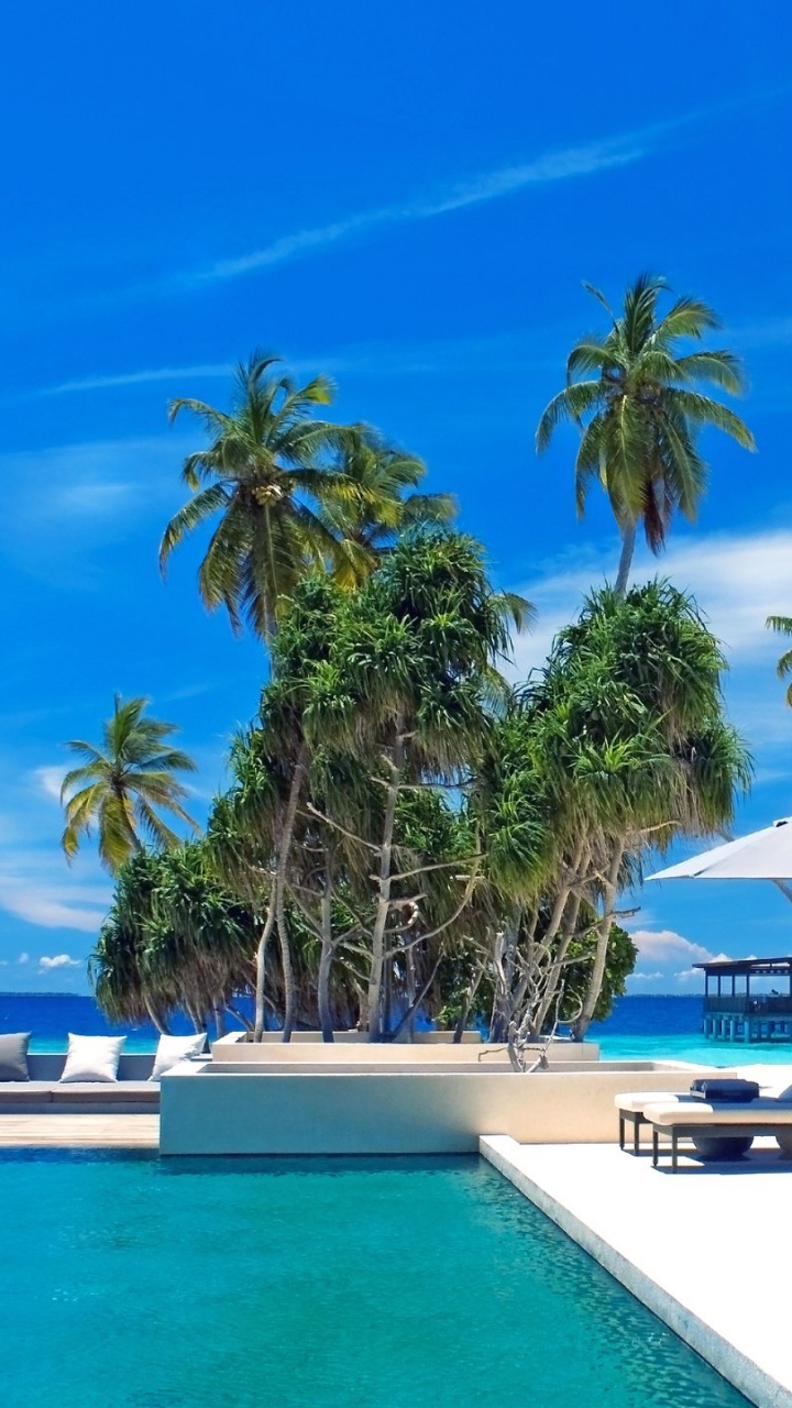 Maison en Bois Blanche et Brune Près de la Piscine Pendant la Journée. Wallpaper in 720x1280 Resolution