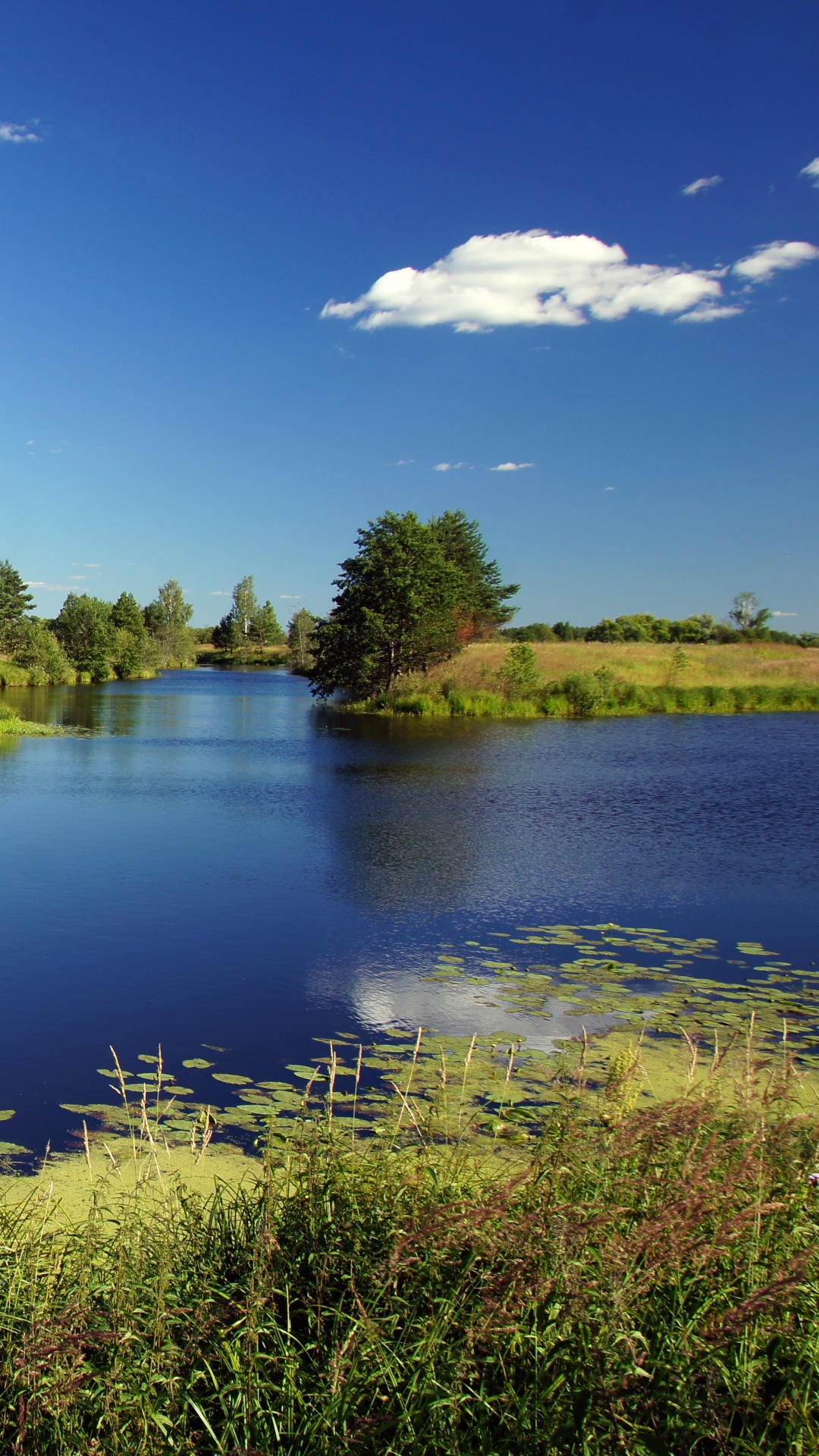 Grüne Bäume Neben Dem Fluss Unter Blauem Himmel Tagsüber. Wallpaper in 1080x1920 Resolution