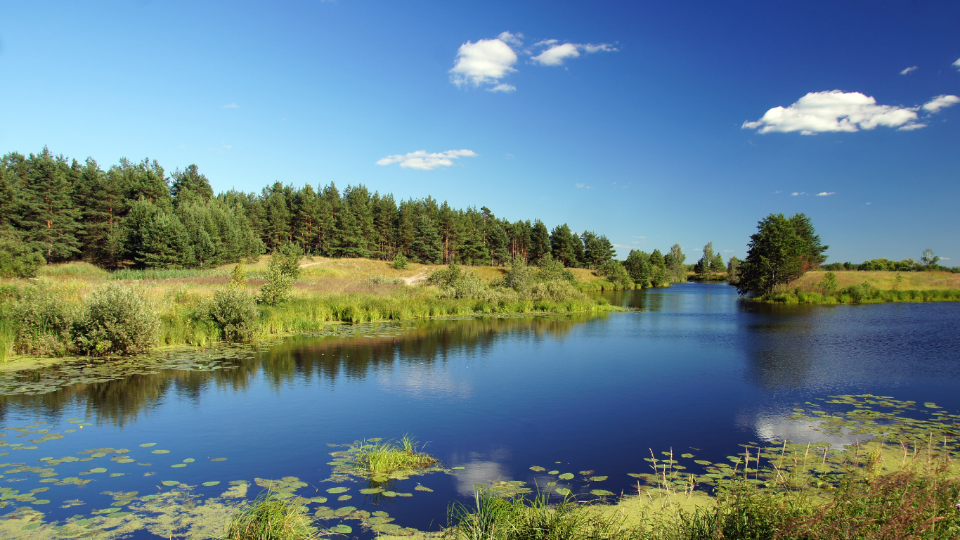 Green Trees Beside River Under Blue Sky During Daytime. Wallpaper in 1366x768 Resolution