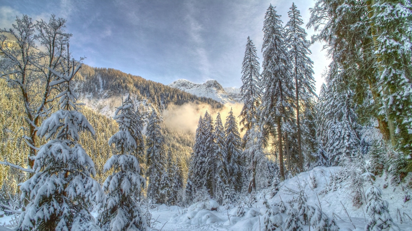 Arbres et Montagnes Couverts de Neige Sous un Ciel Nuageux Pendant la Journée. Wallpaper in 1366x768 Resolution