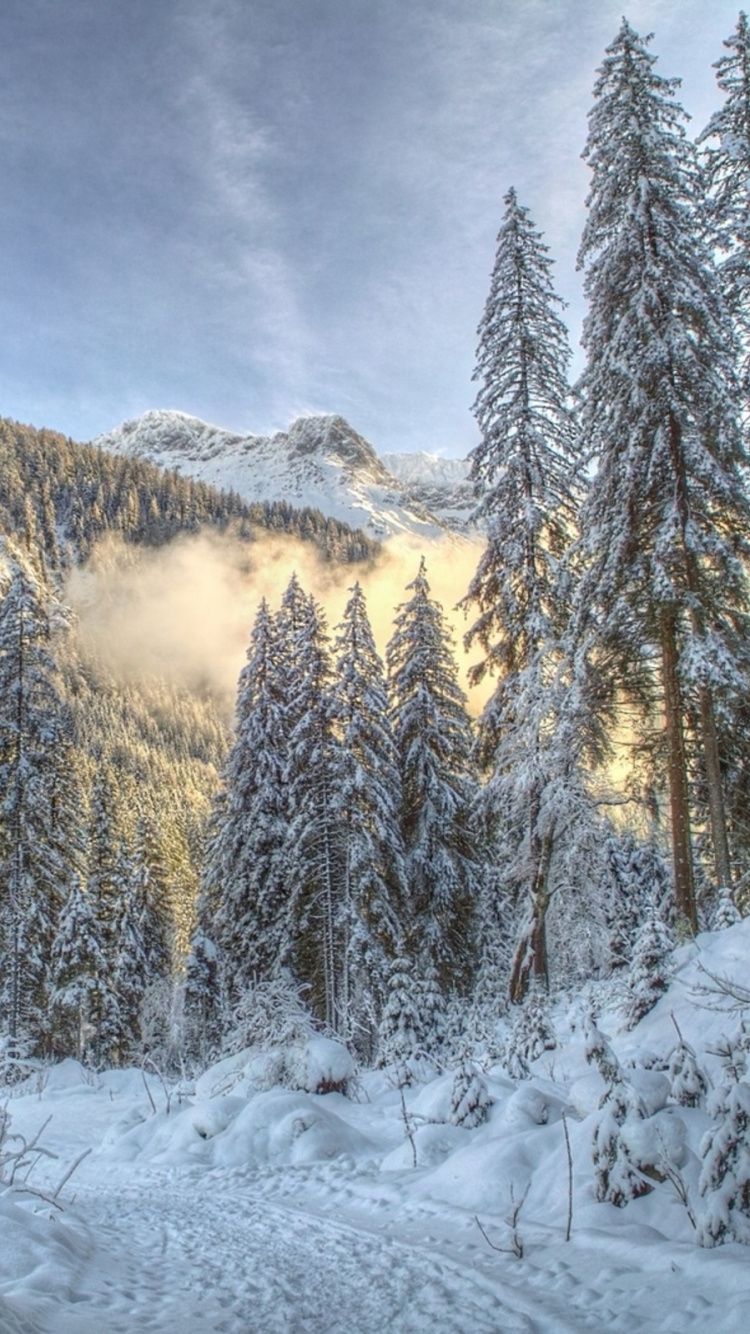 Schneebedeckte Bäume Und Berge Unter Bewölktem Himmel Tagsüber. Wallpaper in 750x1334 Resolution