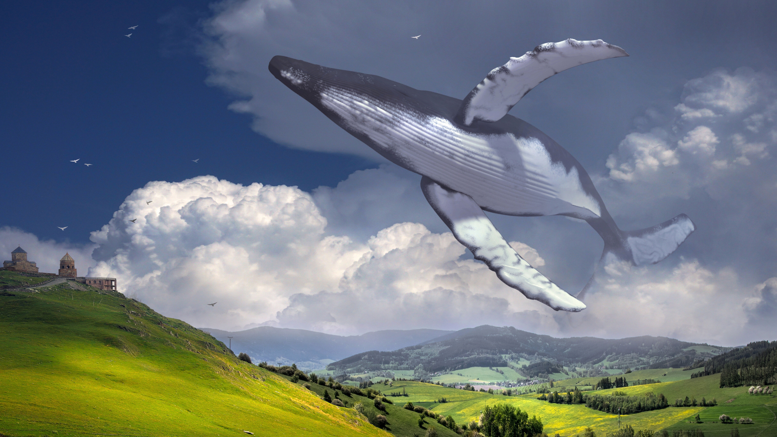 Surrealism, Cloud, Green, Bird, Nature. Wallpaper in 2560x1440 Resolution