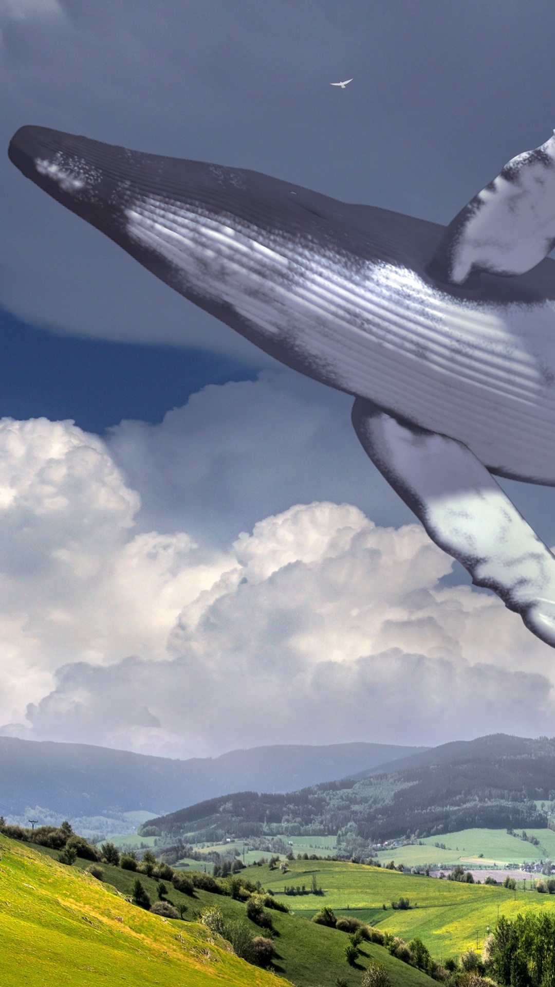 Surrealismus, Cloud, Gr, Vogel, Natur. Wallpaper in 1080x1920 Resolution