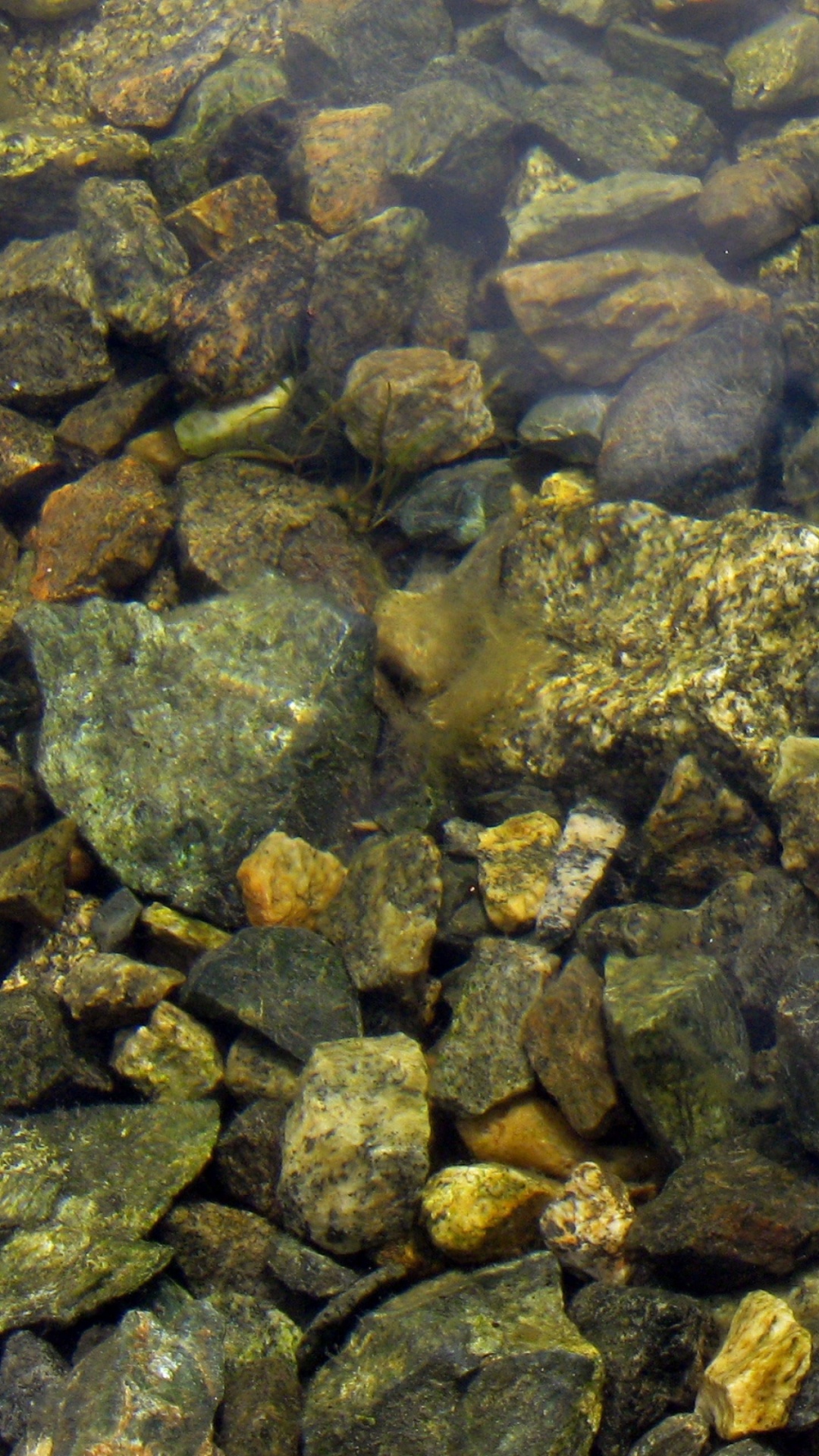 Braune Und Graue Steine Auf Dem Wasser. Wallpaper in 1080x1920 Resolution