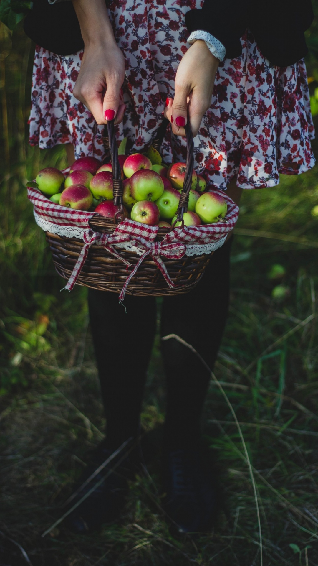 Woman in Purple and White Floral Dress Holding Basket of Green Apples. Wallpaper in 1080x1920 Resolution