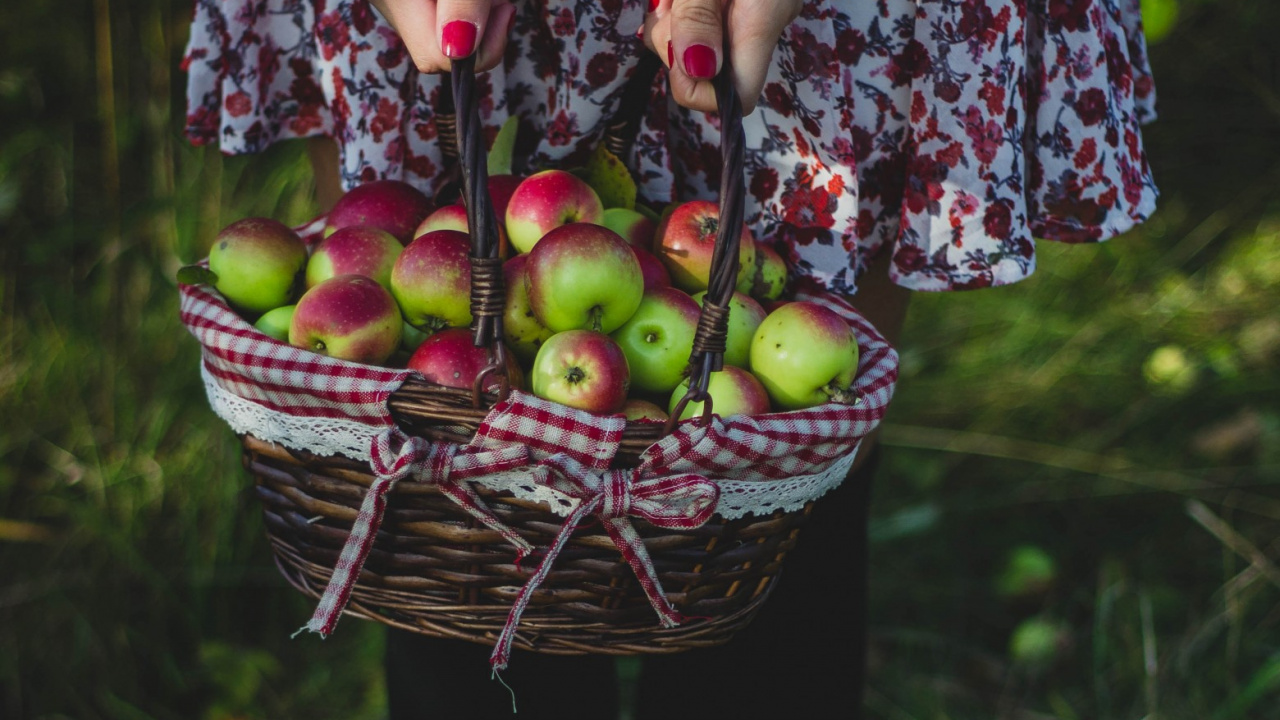 Woman in Purple and White Floral Dress Holding Basket of Green Apples. Wallpaper in 1280x720 Resolution