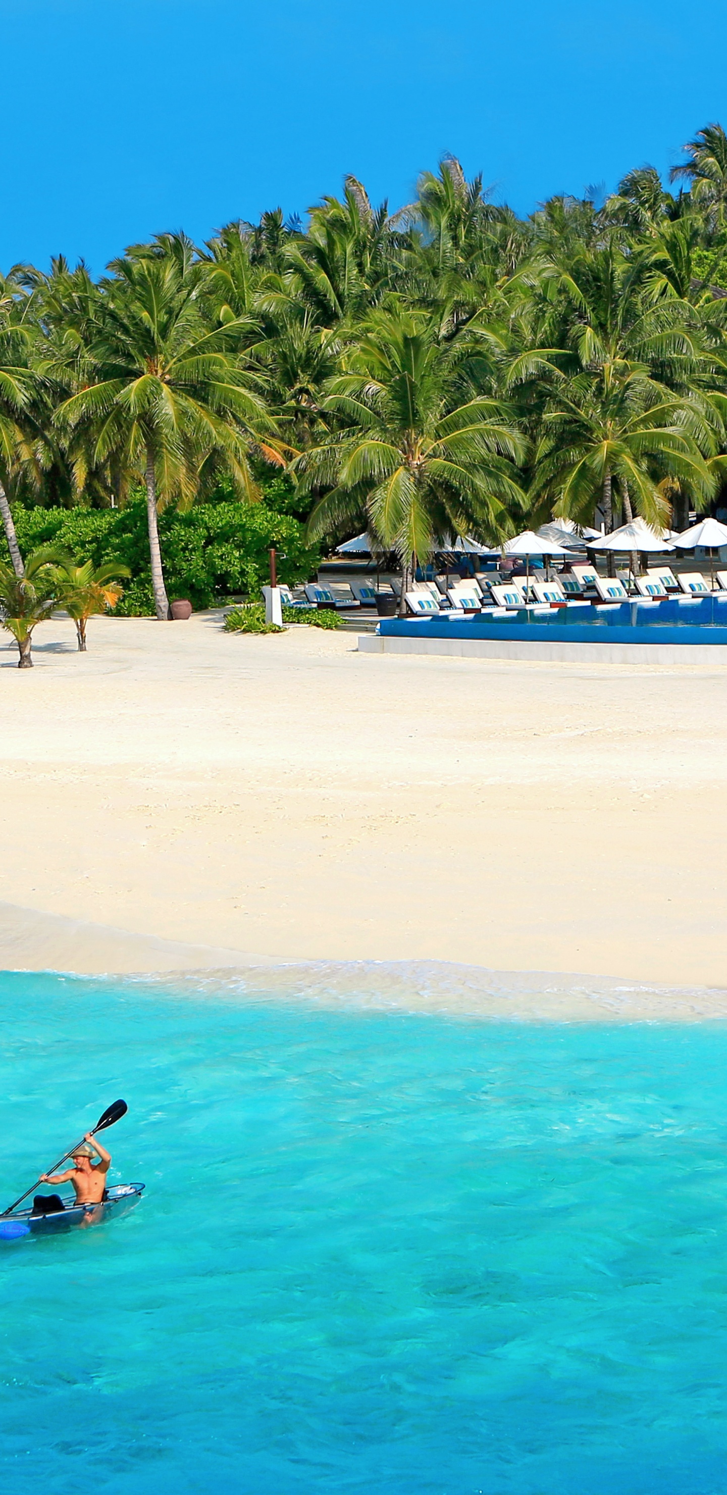 Frau im Blauen Badeanzug Schwimmt Tagsüber Auf Blauem Meer. Wallpaper in 1440x2960 Resolution