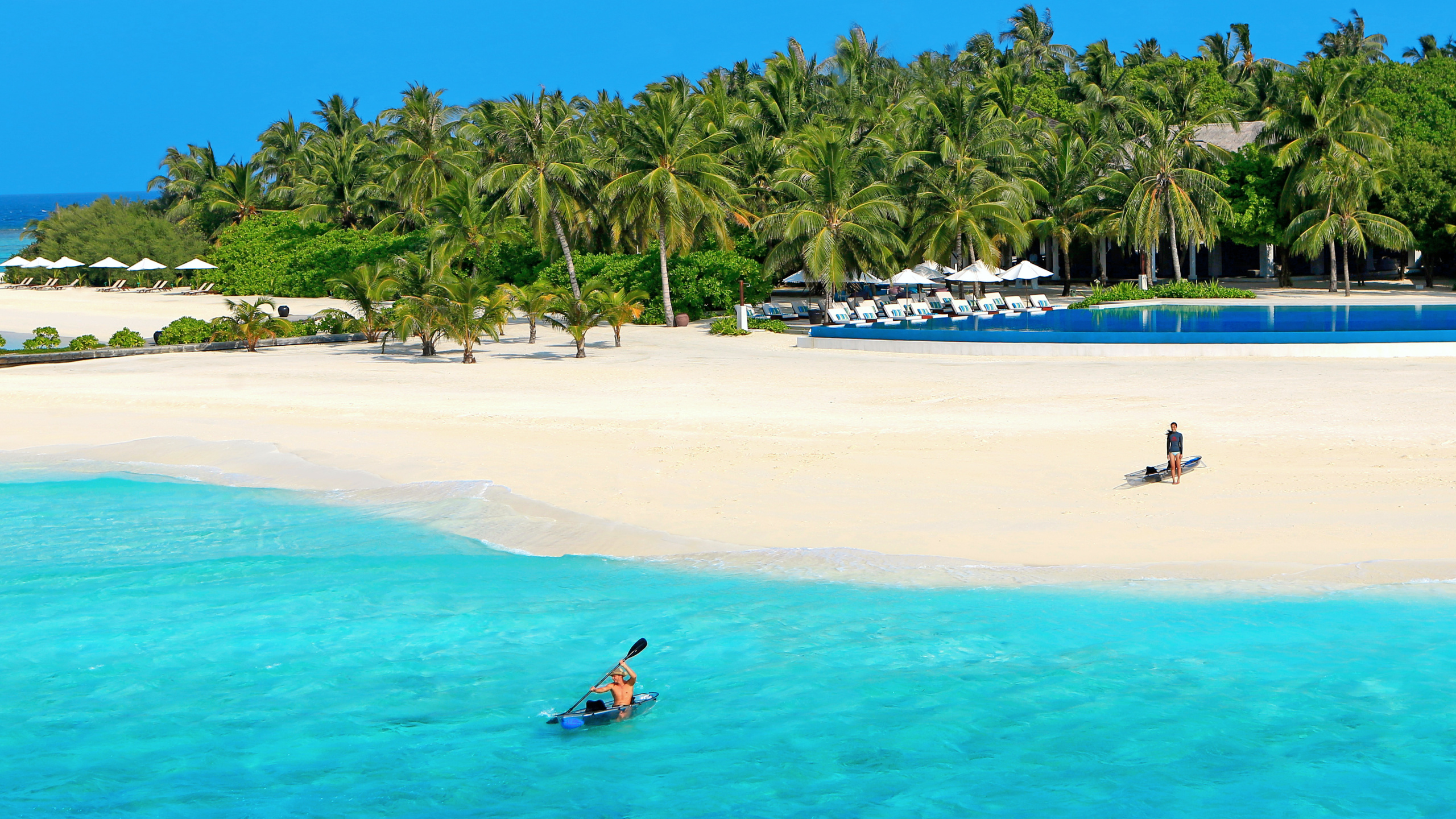 Mujer en Traje de Baño Azul Nadando en el Mar Azul Durante el Día. Wallpaper in 2560x1440 Resolution