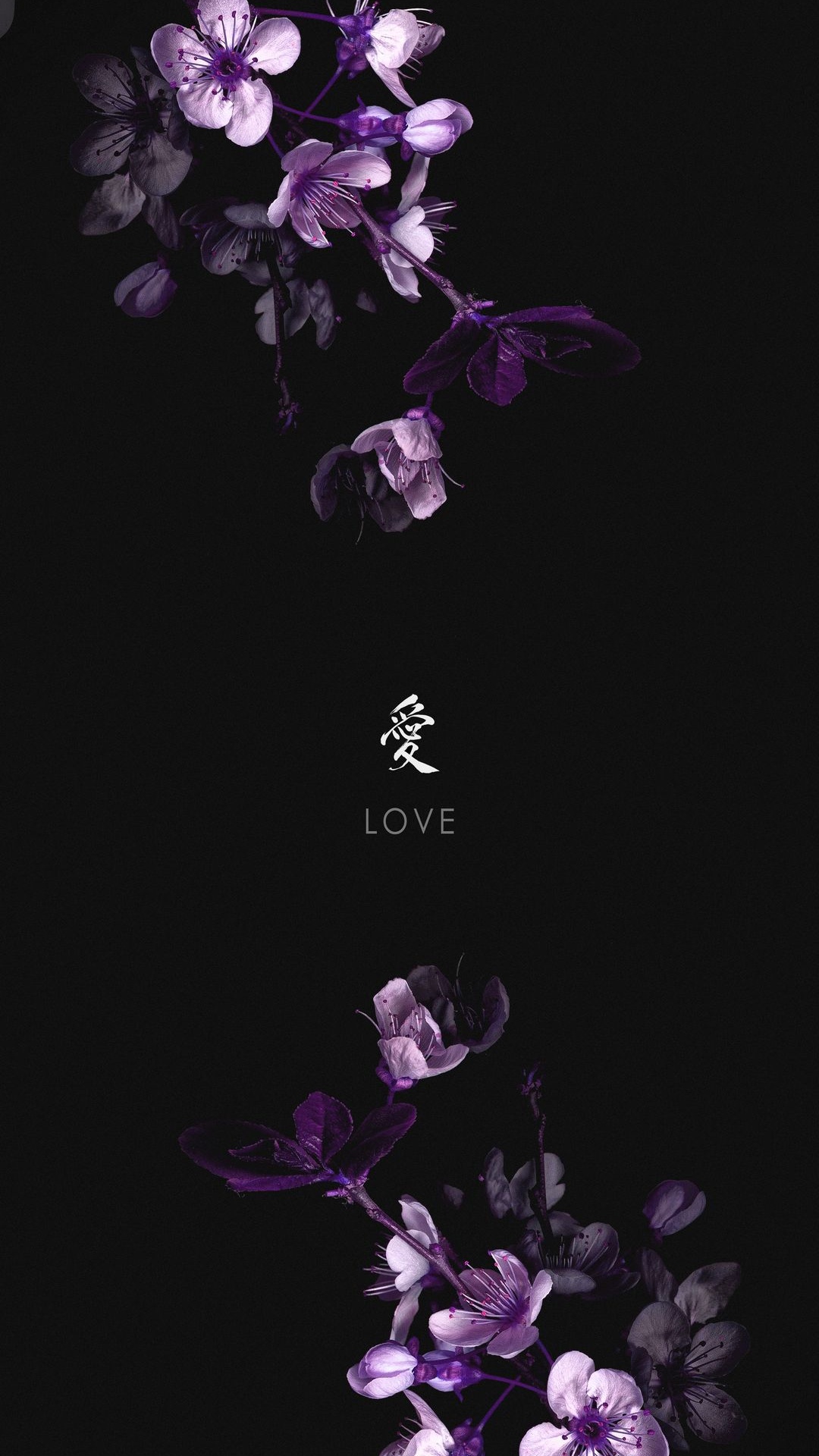 Flora, Violet, Wisgoon, Flower, Purple. Wallpaper in 1080x1920 Resolution