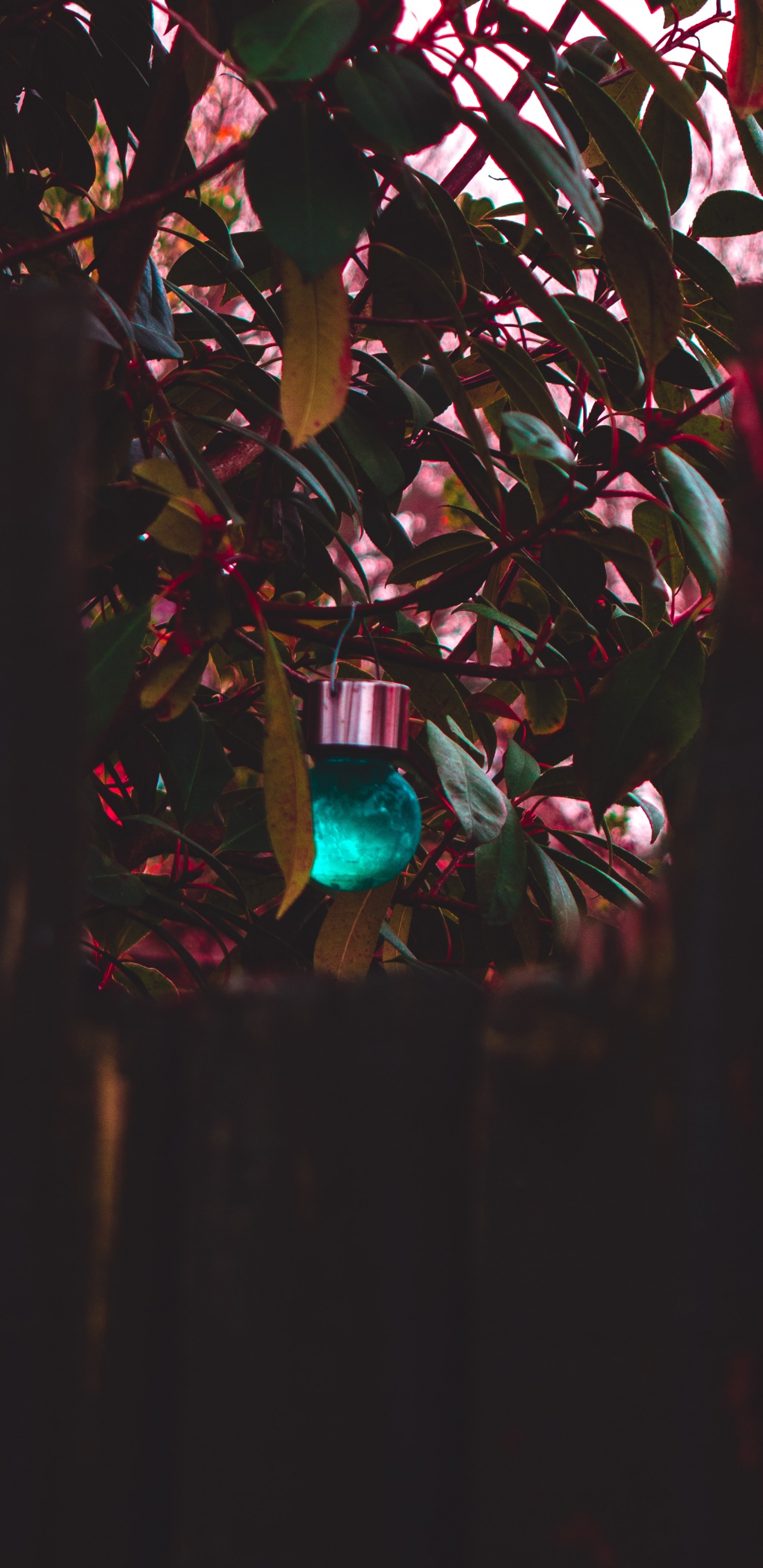 Blaue Und Grüne Lichterketten. Wallpaper in 1440x2960 Resolution