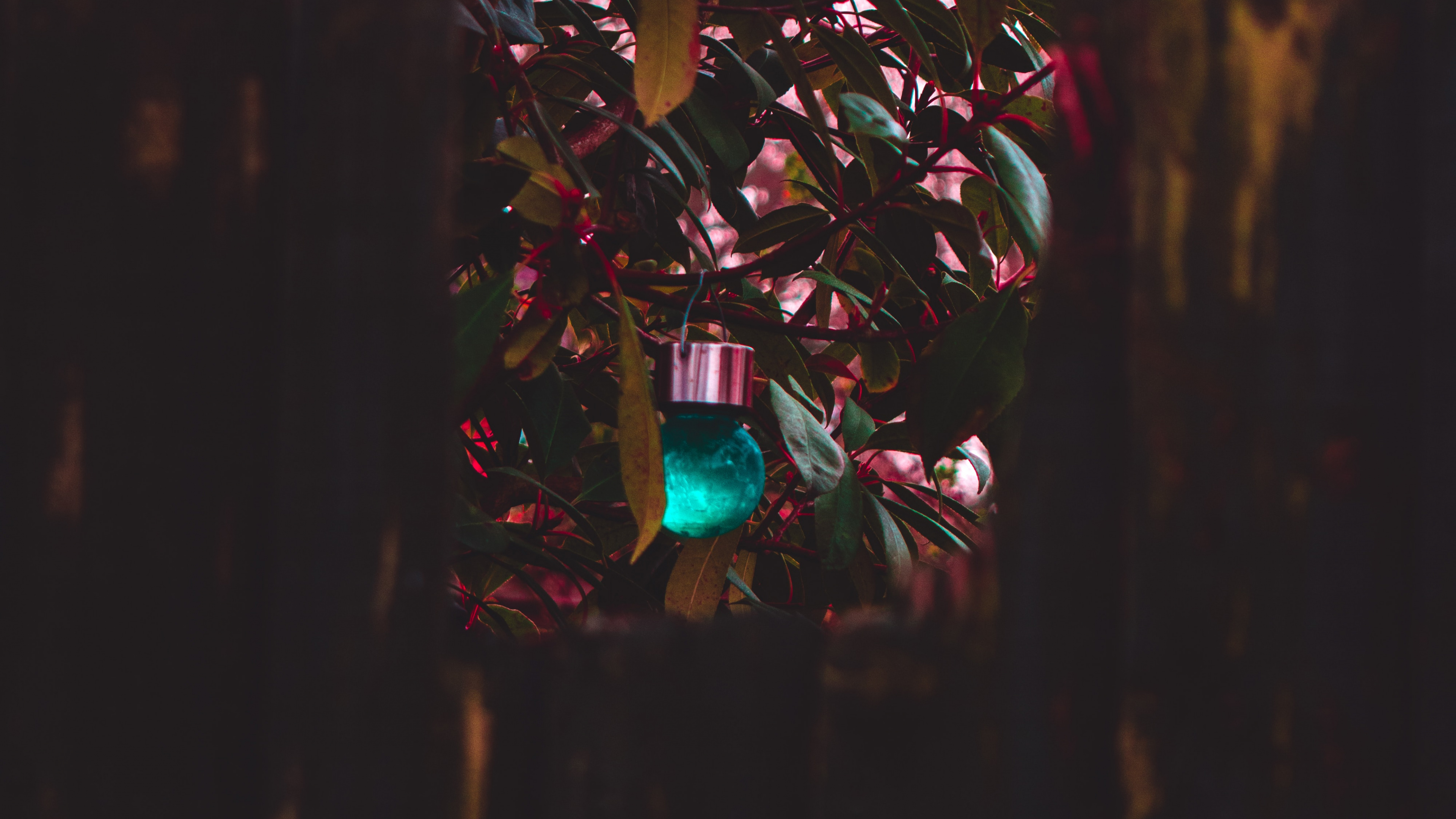 Luces de Cadena Azul y Verde. Wallpaper in 3840x2160 Resolution