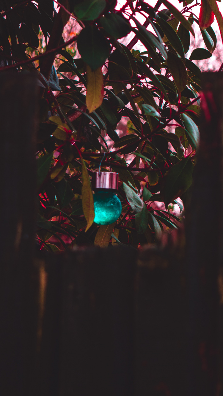 Luces de Cadena Azul y Verde. Wallpaper in 750x1334 Resolution