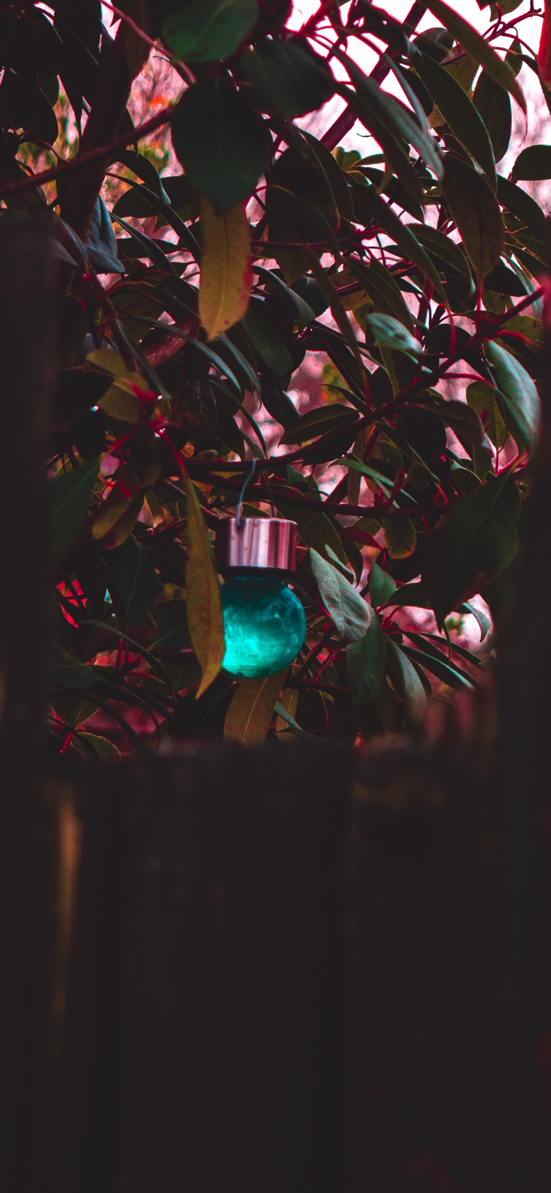 Guirlandes Lumineuses Bleues et Vertes. Wallpaper in 1125x2436 Resolution