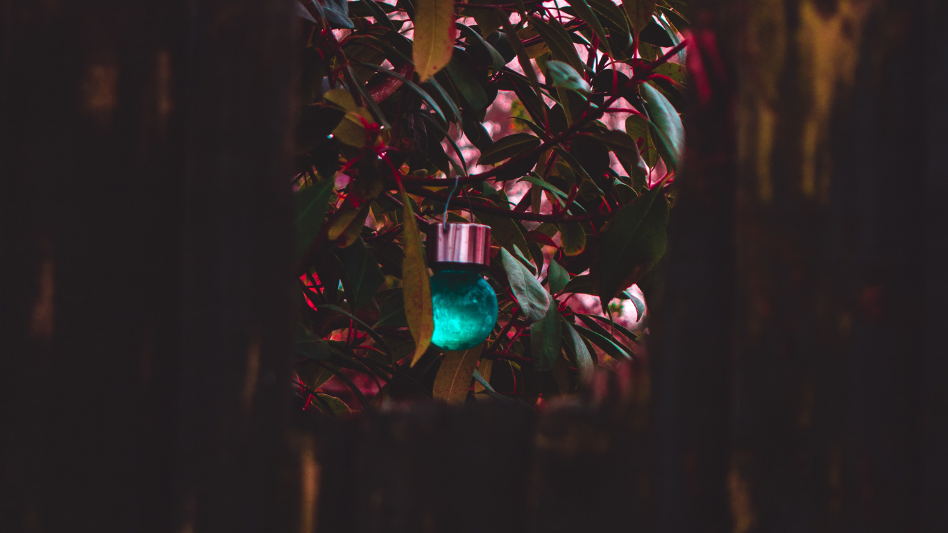 Guirlandes Lumineuses Bleues et Vertes. Wallpaper in 1366x768 Resolution