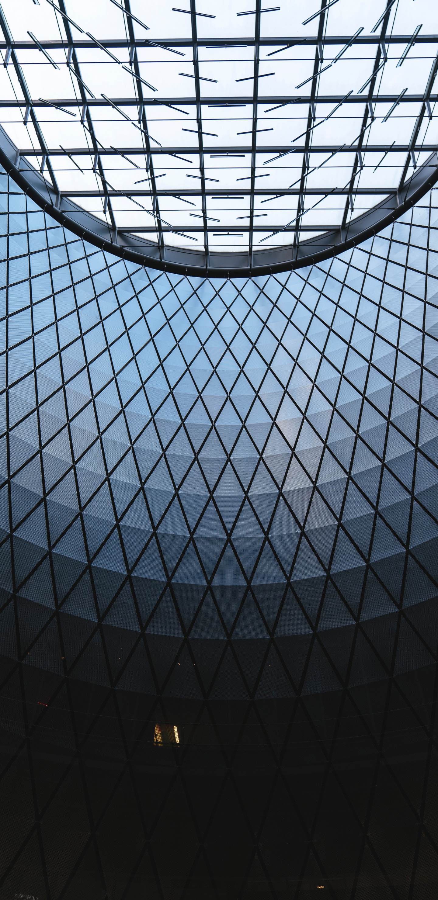 Edificio de Vidrio Con Marco de Metal Negro. Wallpaper in 1440x2960 Resolution