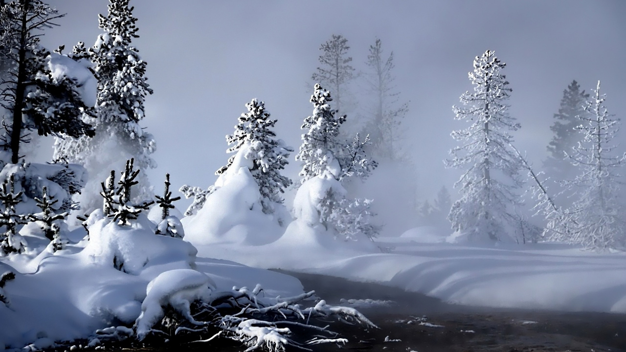Snow Covered Trees During Daytime. Wallpaper in 1280x720 Resolution