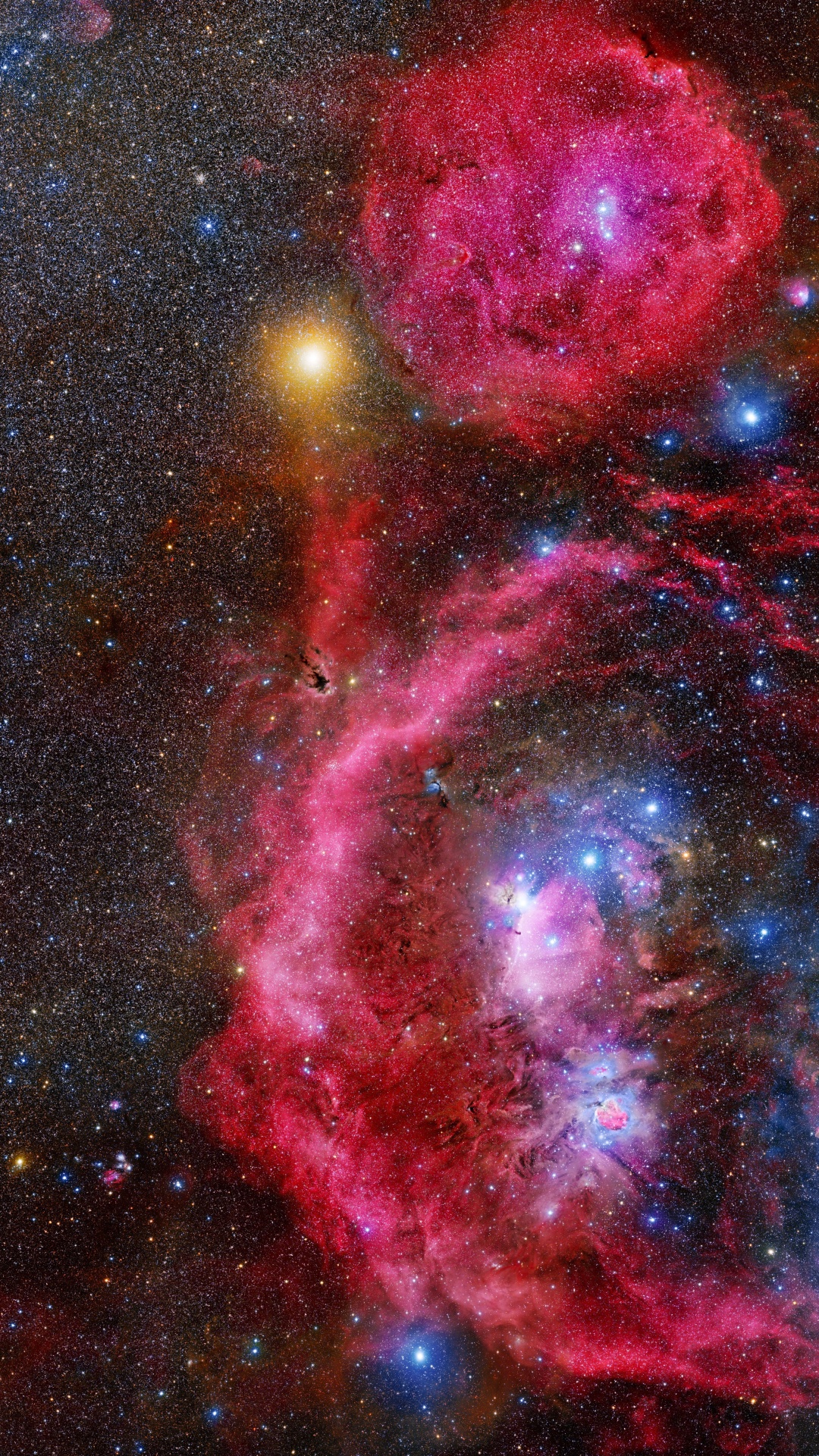 Orion, 明星, 猎户座星云, 天文学, 天文学对象 壁纸 1080x1920 允许