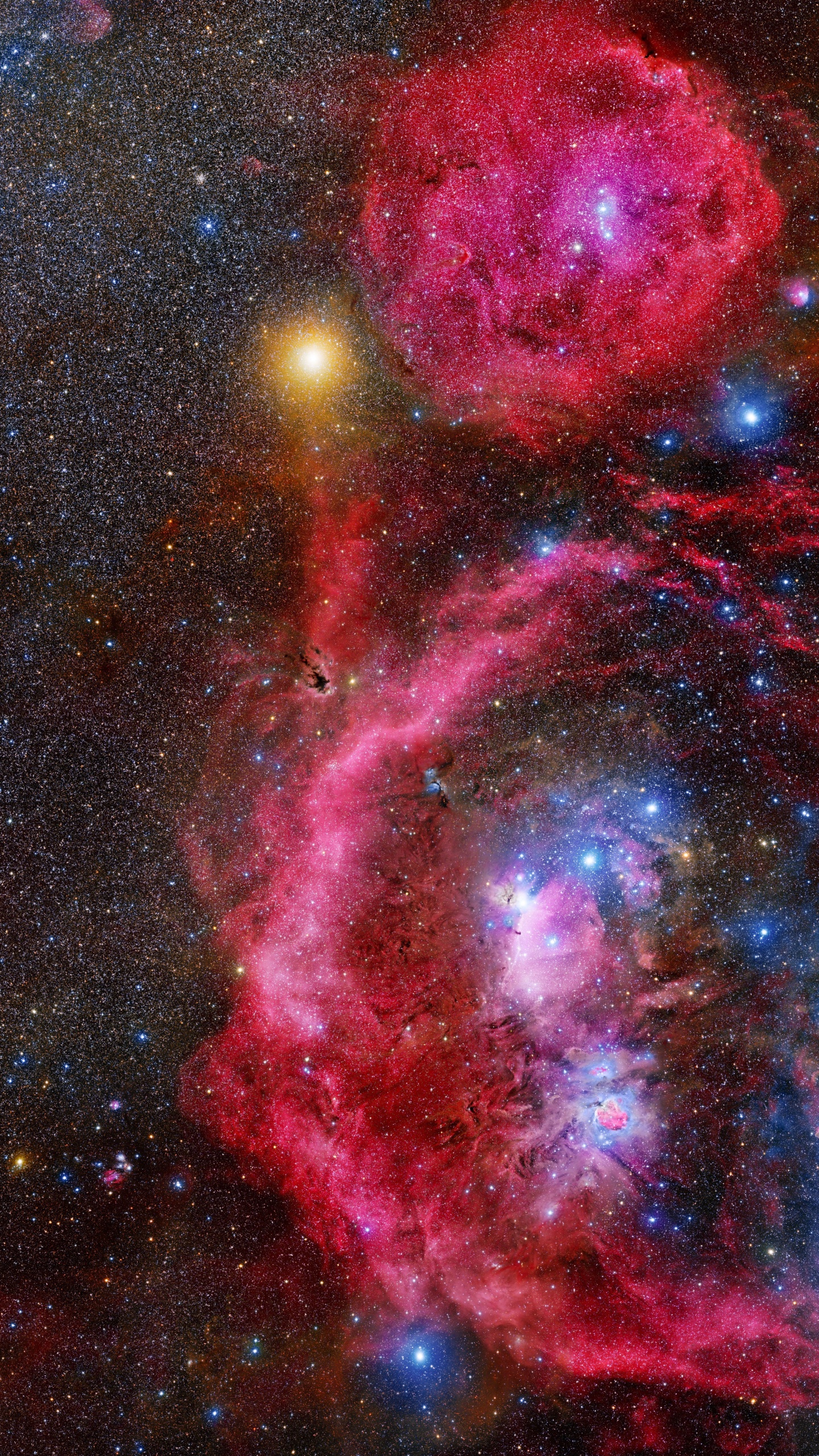 Orion, 明星, 猎户座星云, 天文学, 天文学对象 壁纸 1440x2560 允许