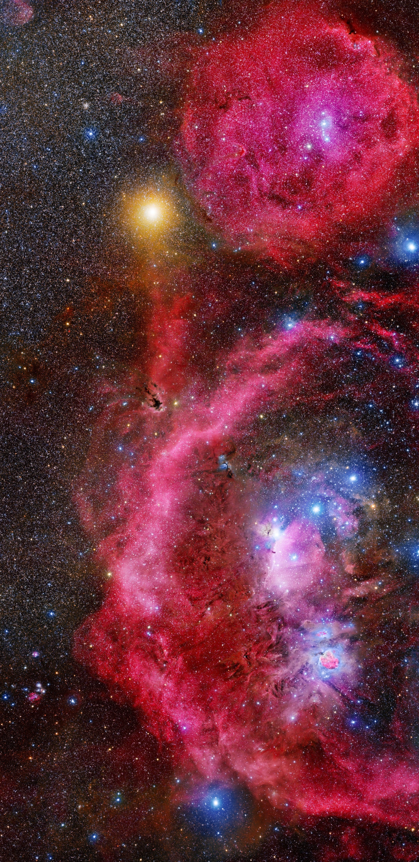 下载 1440x2960 壁纸 Orion, 明星, 猎户座星云, 天文学, 天文学对象 Orion, 明星, 猎户座星云, 天文学, 天文学对象 壁纸 1440x2960 允许