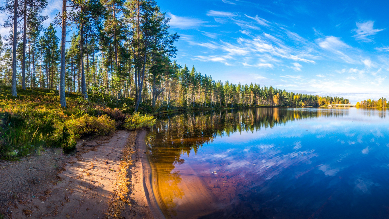 Arbres Verts à Côté de la Rivière Sous Ciel Bleu Pendant la Journée. Wallpaper in 1366x768 Resolution